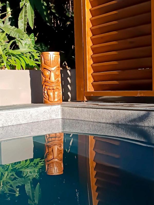Le Colibri d'Acomat - Gîte avec piscine privée view 3