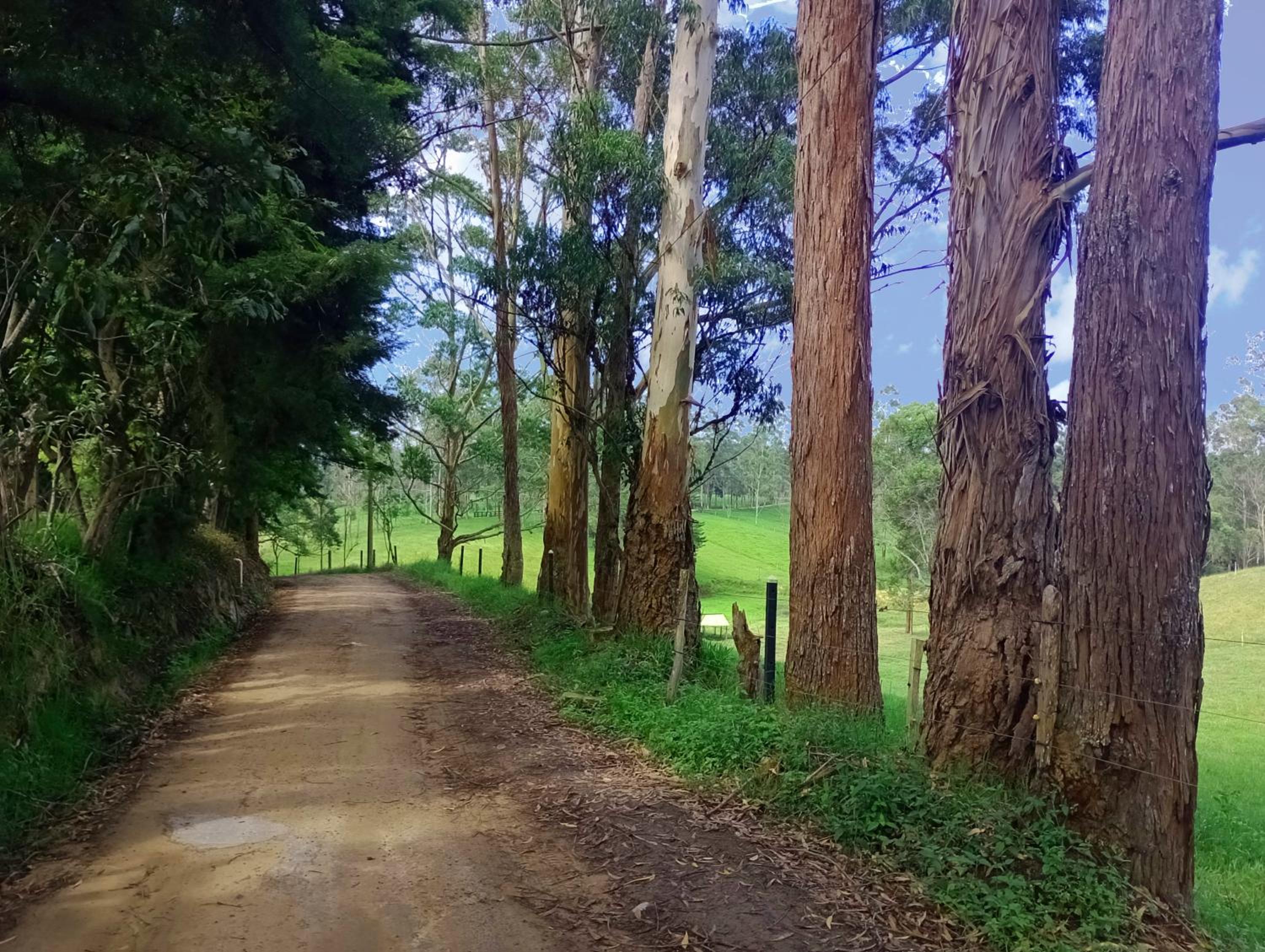 Posada Oye Bonita, Mesa de los Santos, Santander, Colombia