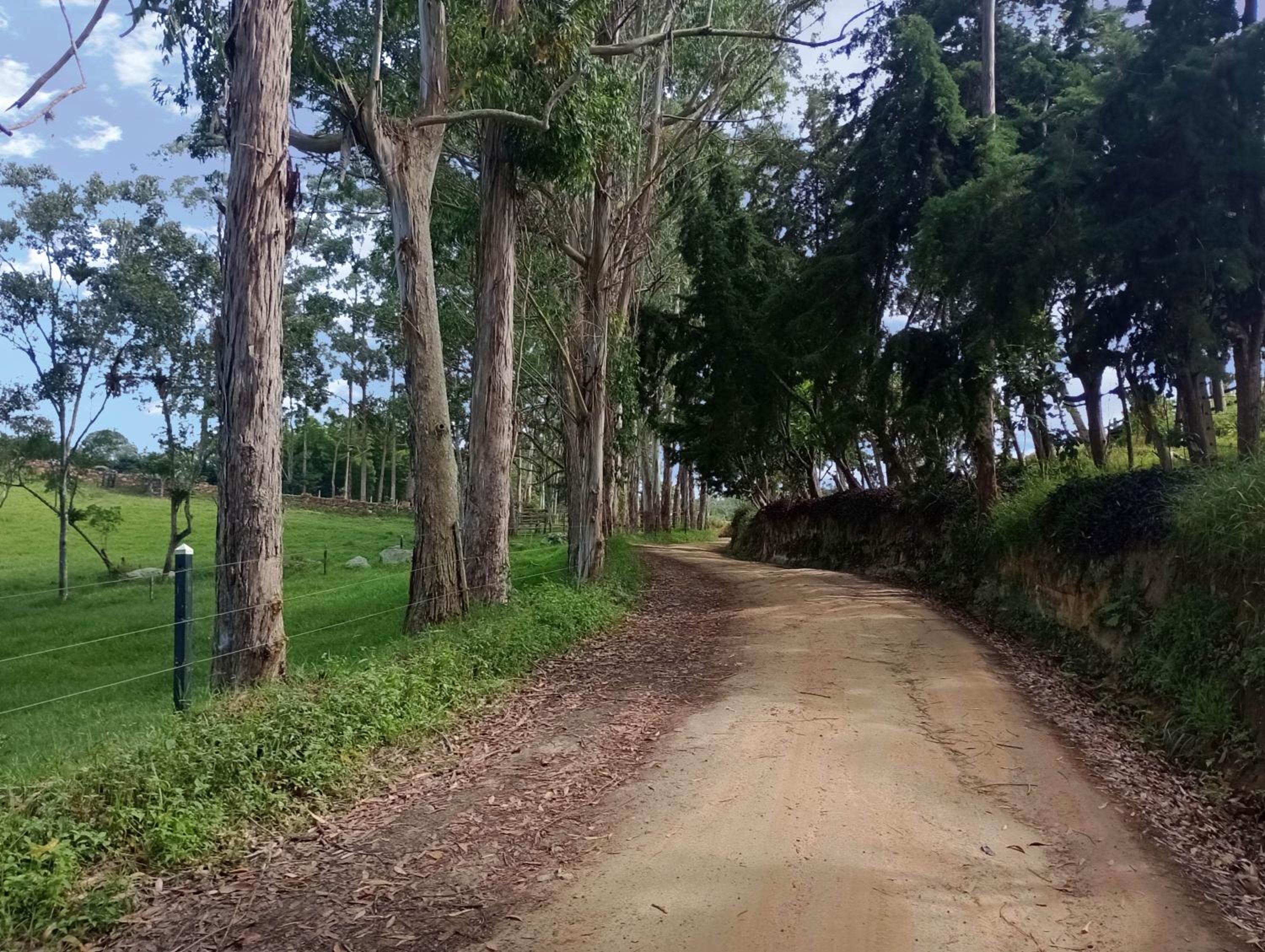Posada Oye Bonita, Mesa de los Santos, Santander, Colombia