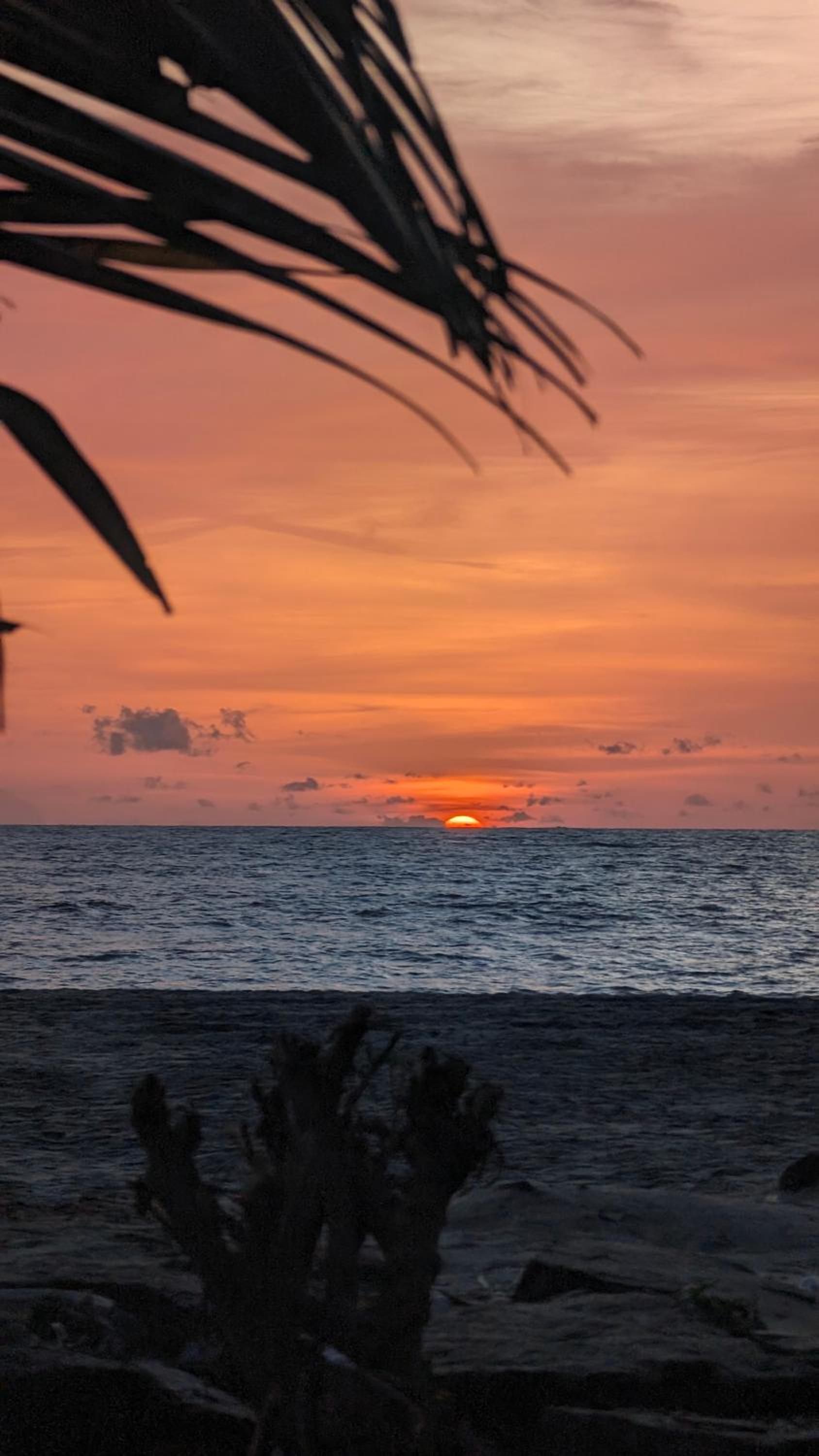 Beachillam