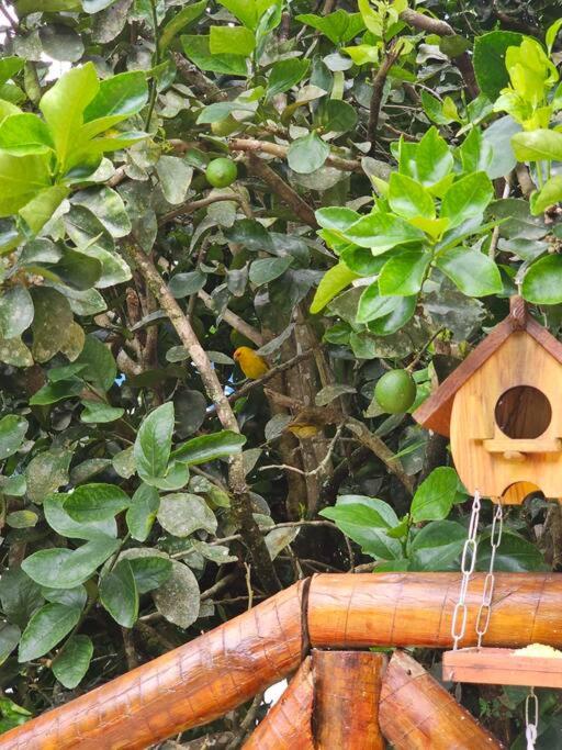 Chalé Jagannatha em Teresópolis