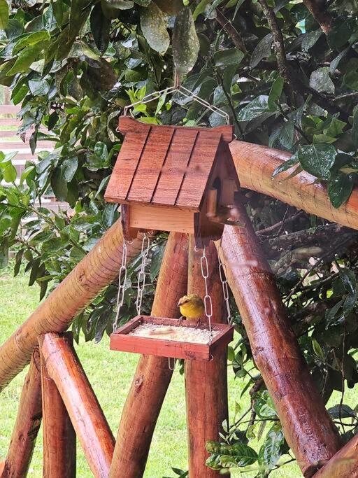 Chalé Jagannatha em Teresópolis