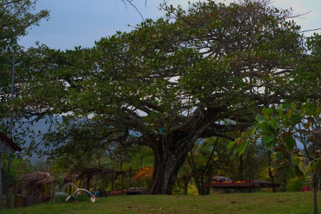 Cabañas de Chango