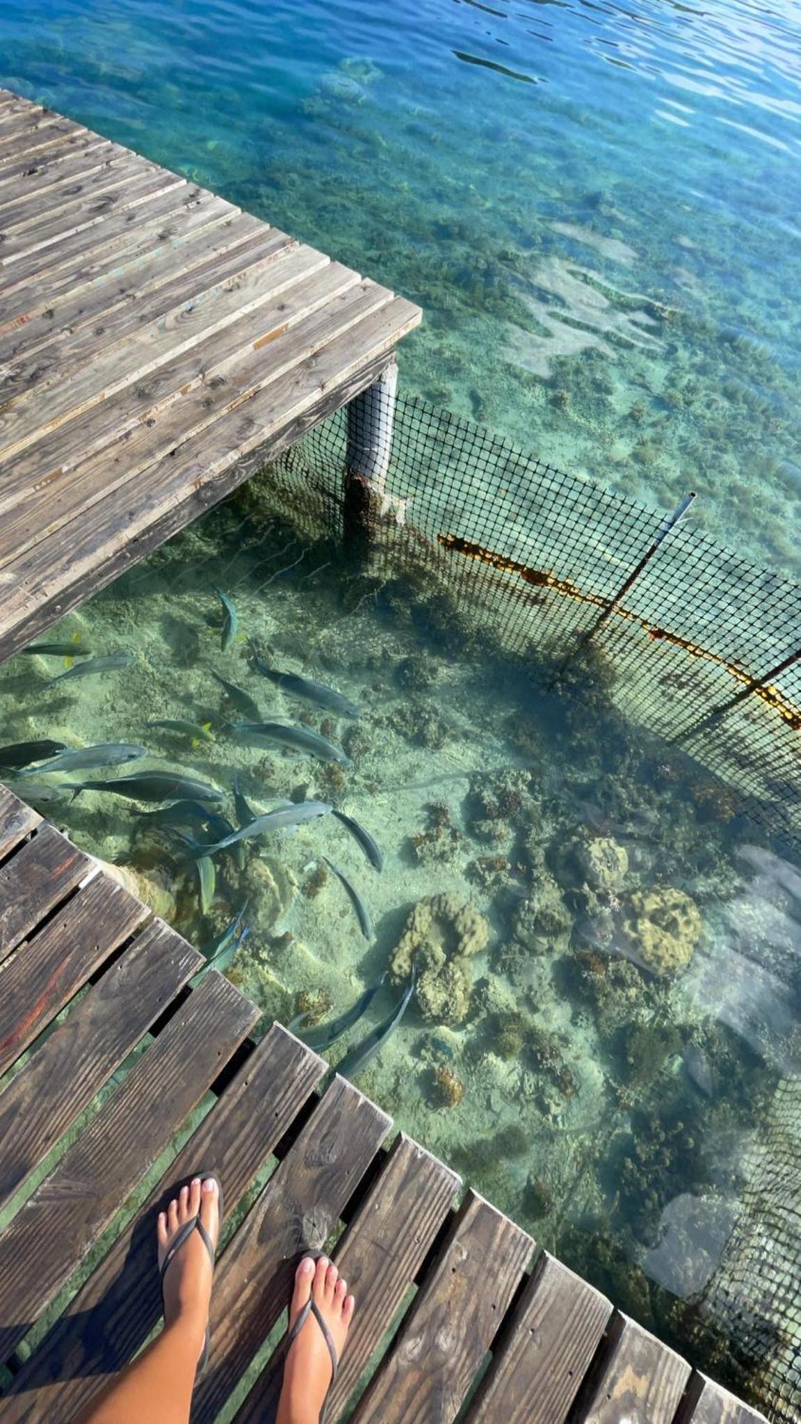 Toa Lodge Bora Bora