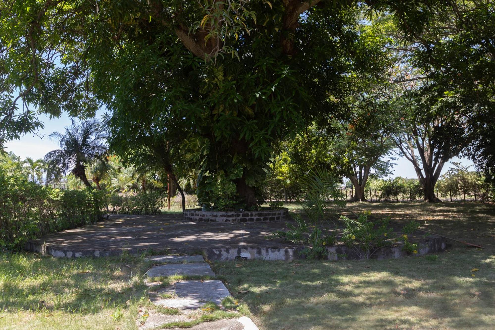 Casa Palmar