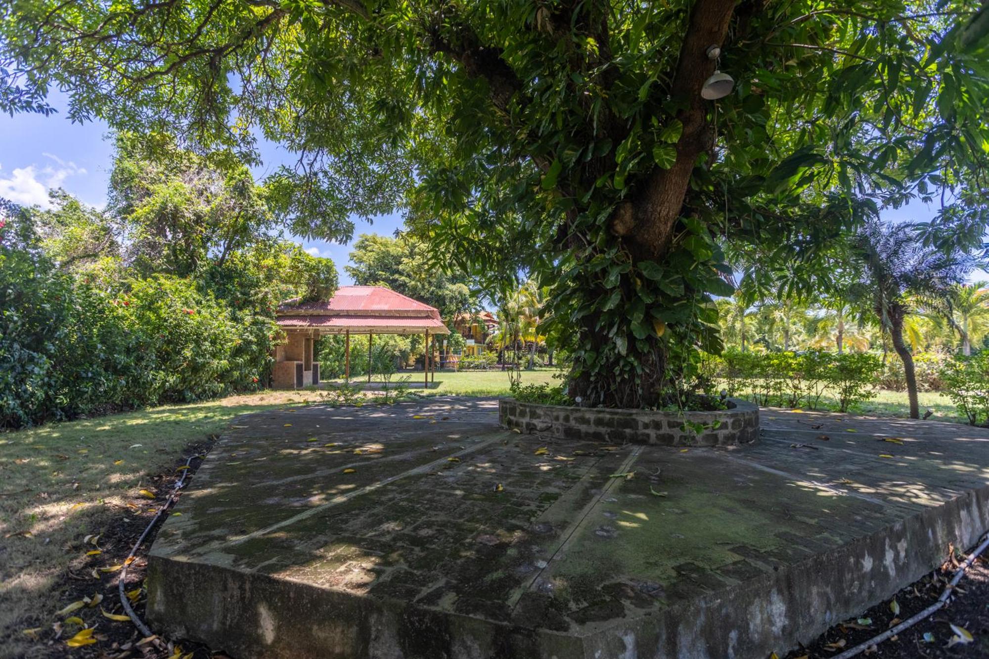 Casa Palmar