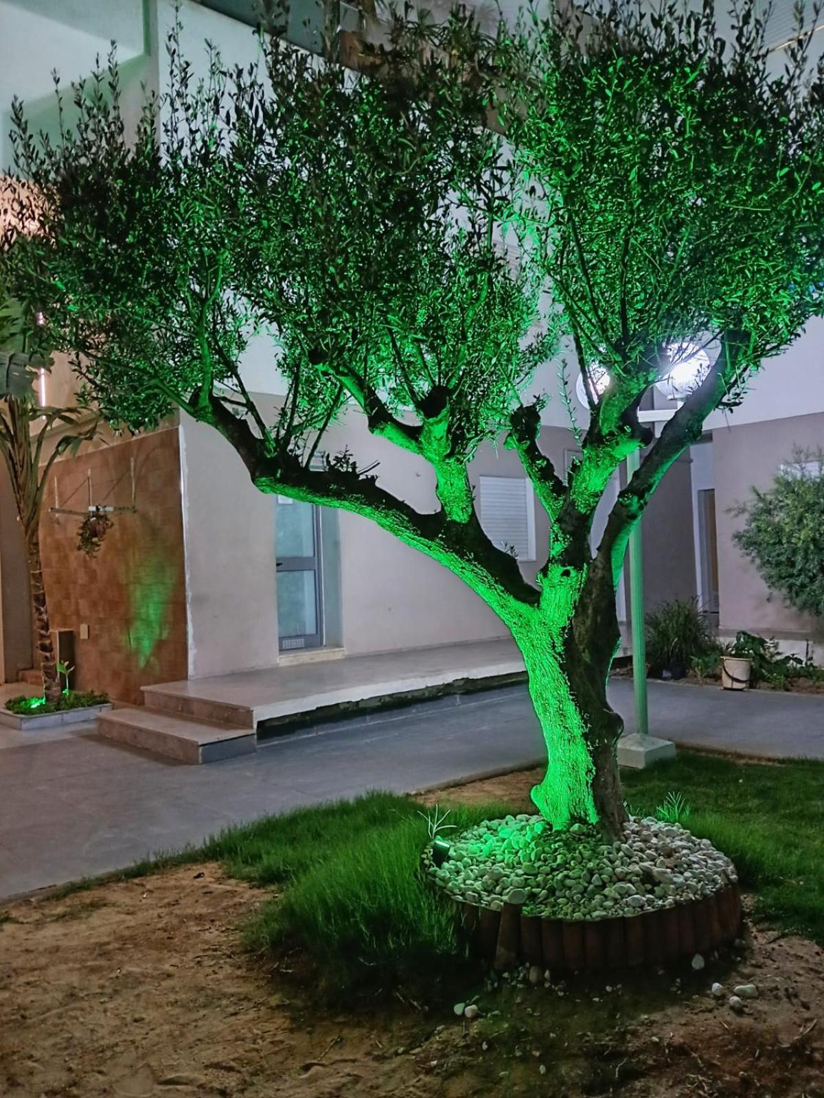 Mahdi Home