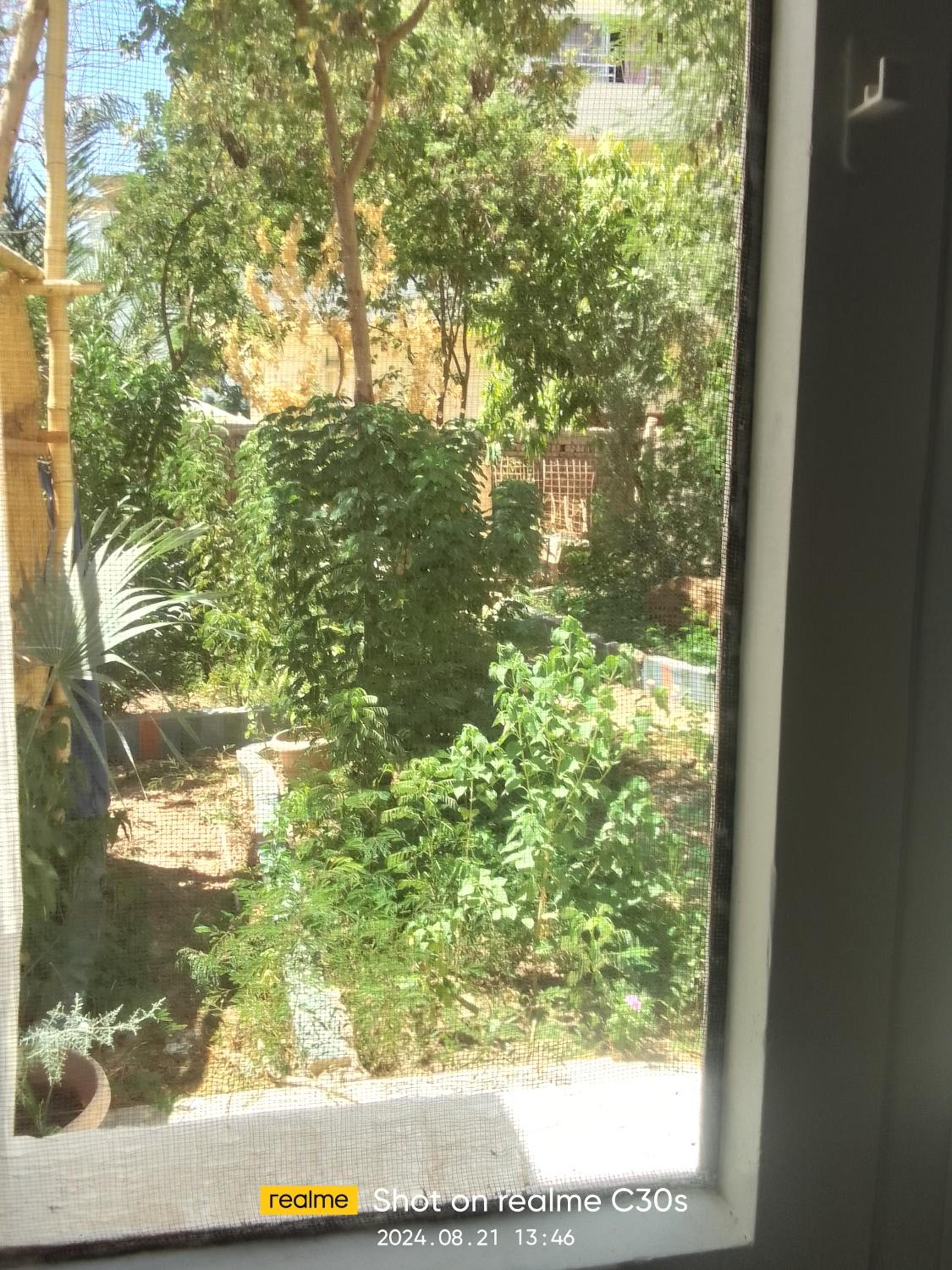 Nile Garden Villa