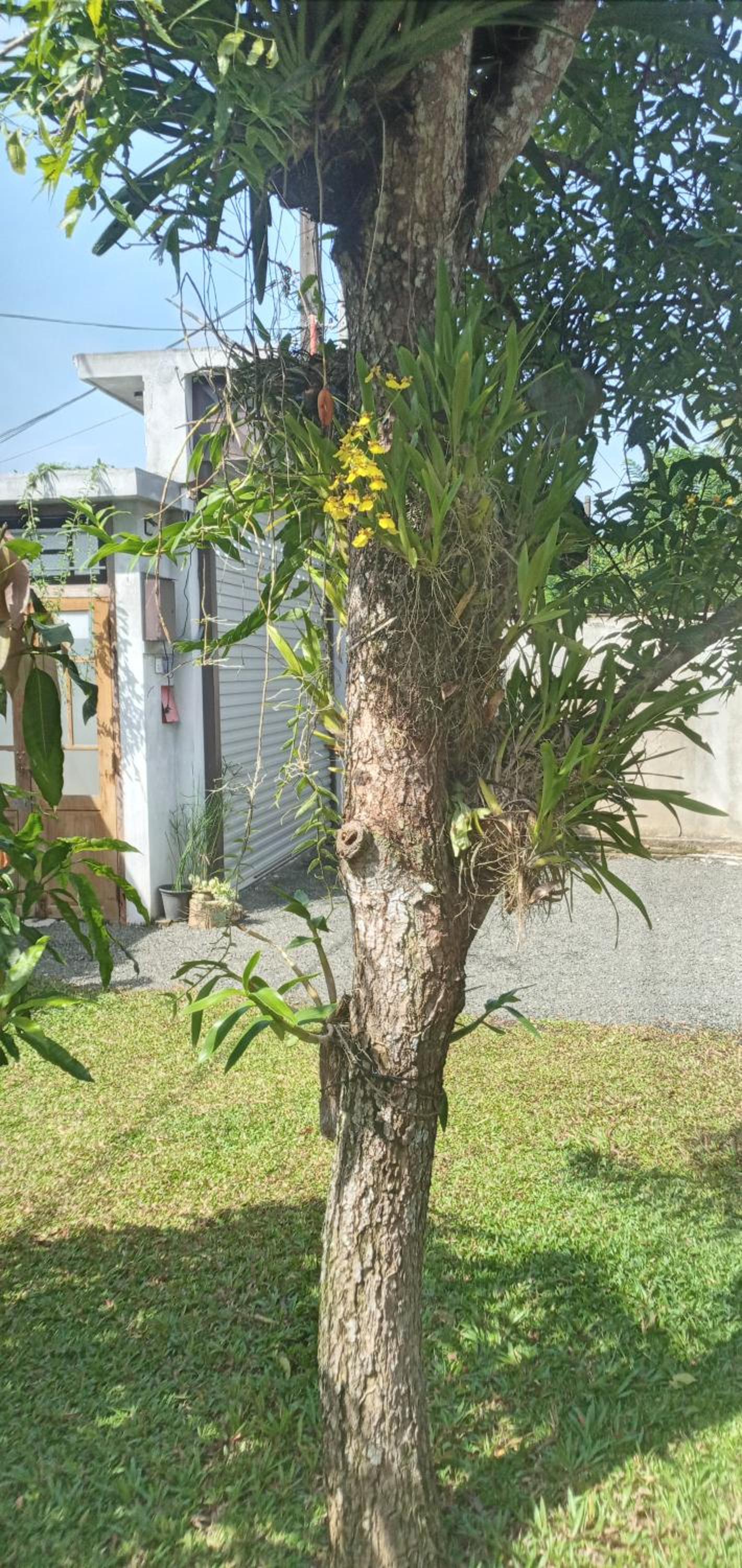 HIKKA LAK RAN VILLA