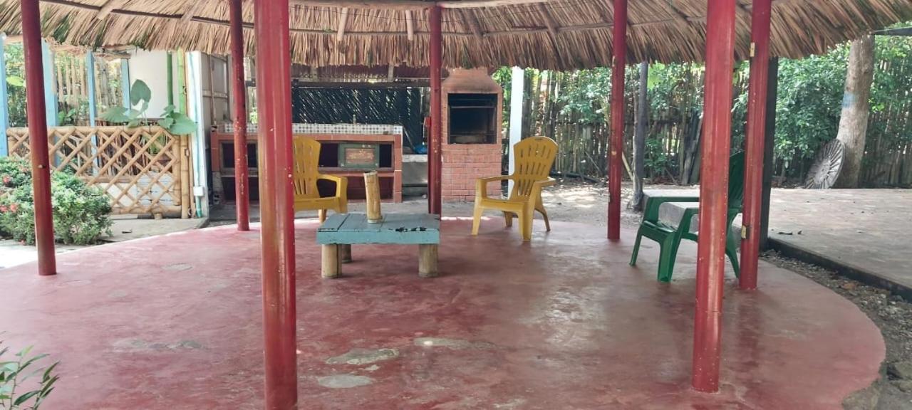Hostal Casa Jungla 2
