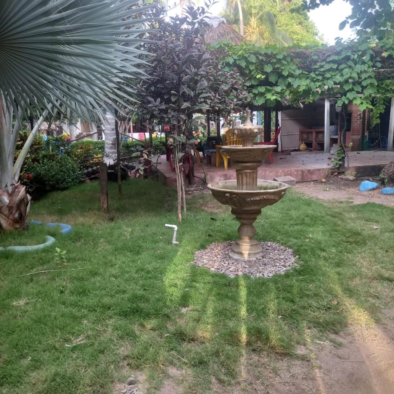 Hostal Casa Jungla 2