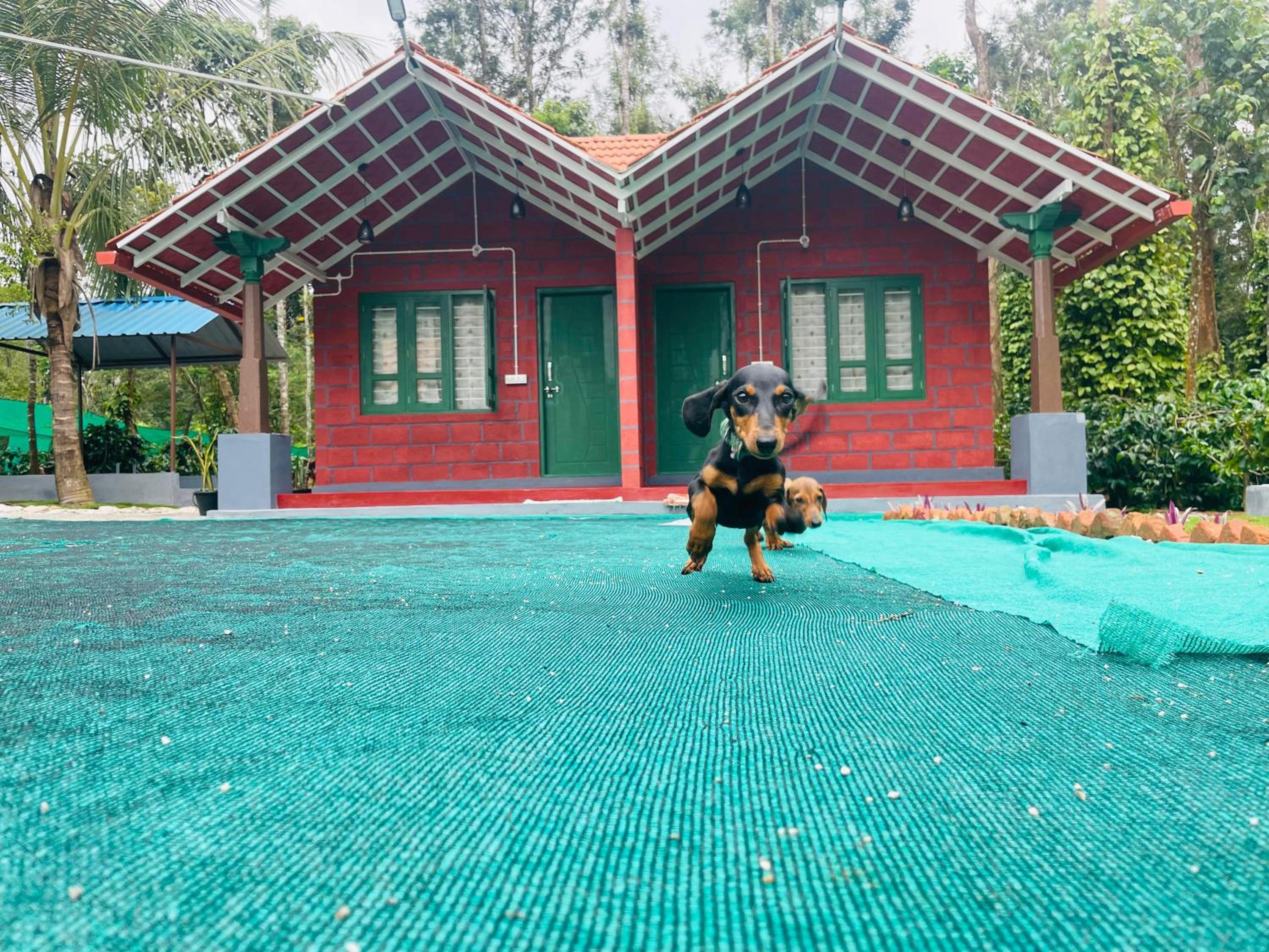 Patel Homestay