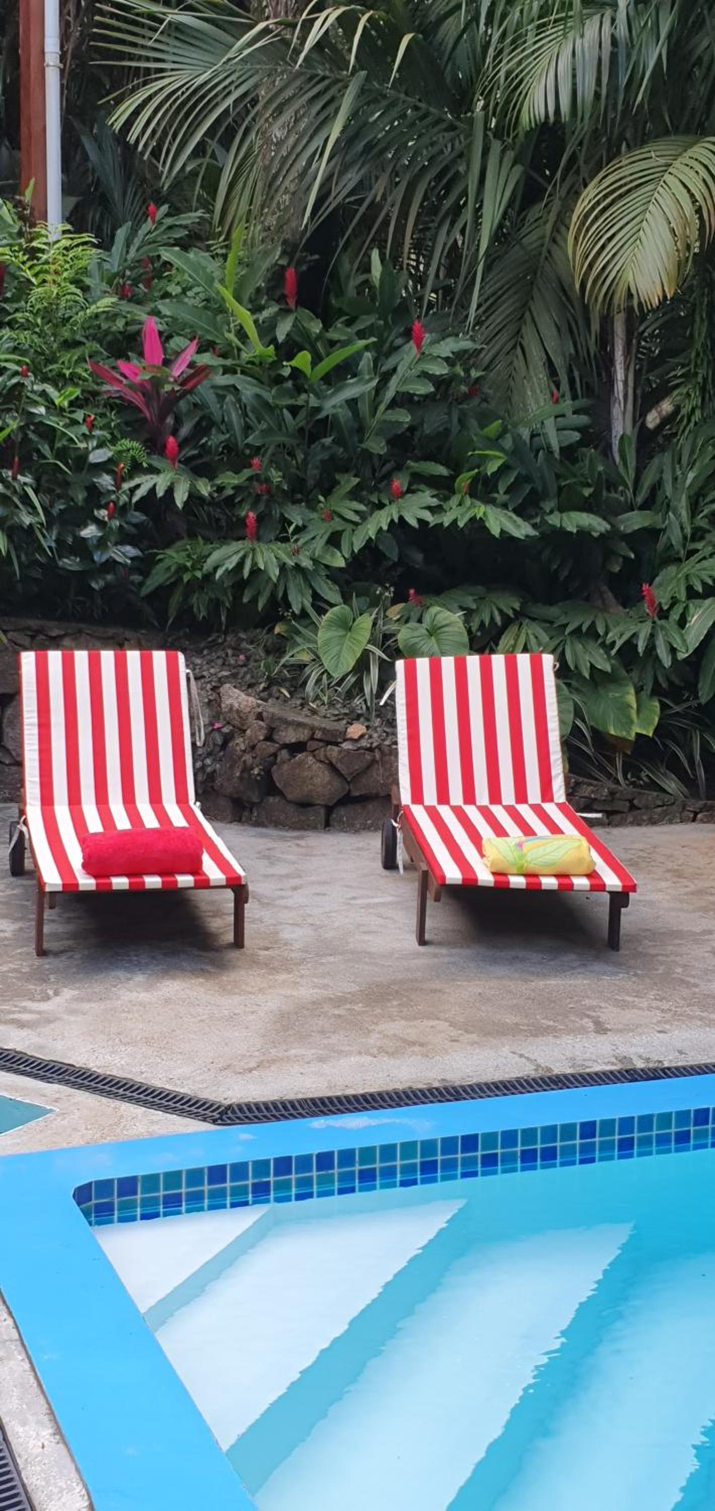 Cashew Nut Grove Chalets photo 5