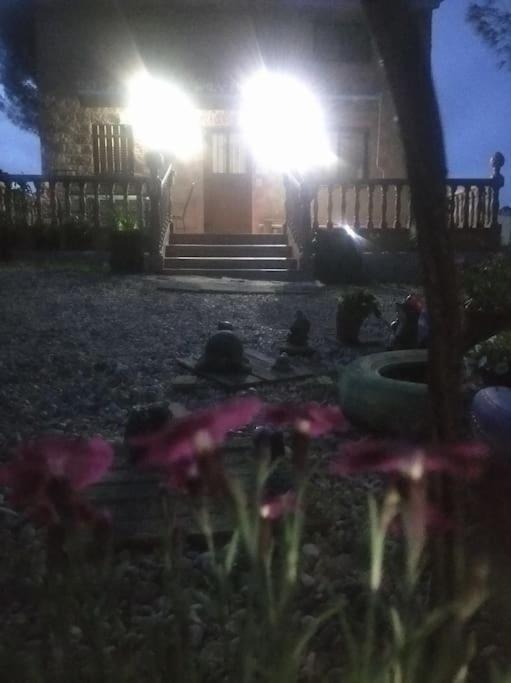 Photo 47