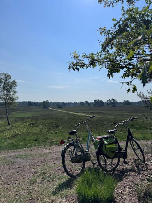 't Esdoorntje