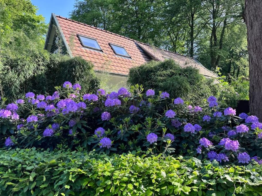 't Esdoorntje