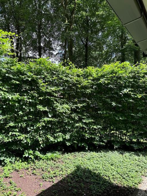 't Esdoorntje