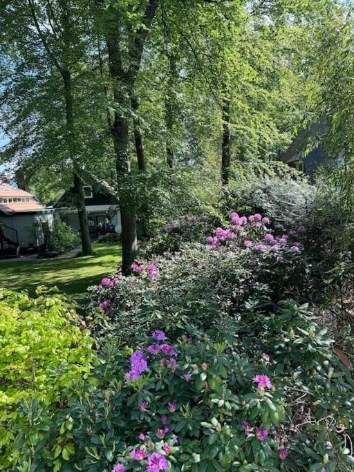 't Esdoorntje
