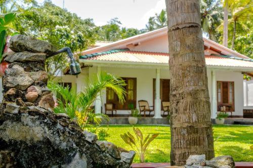 Bosco Casa
