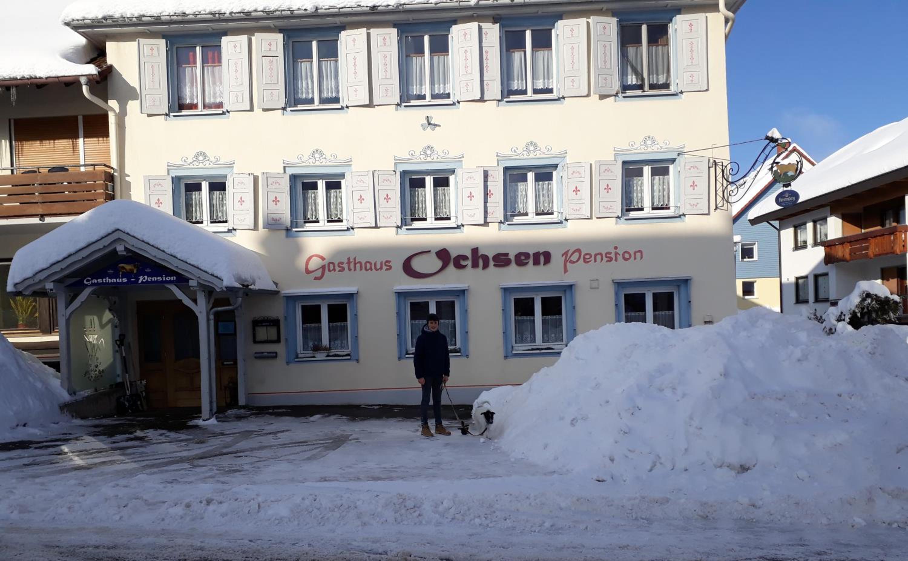 Pension Ochsen, Ferienwohnungen