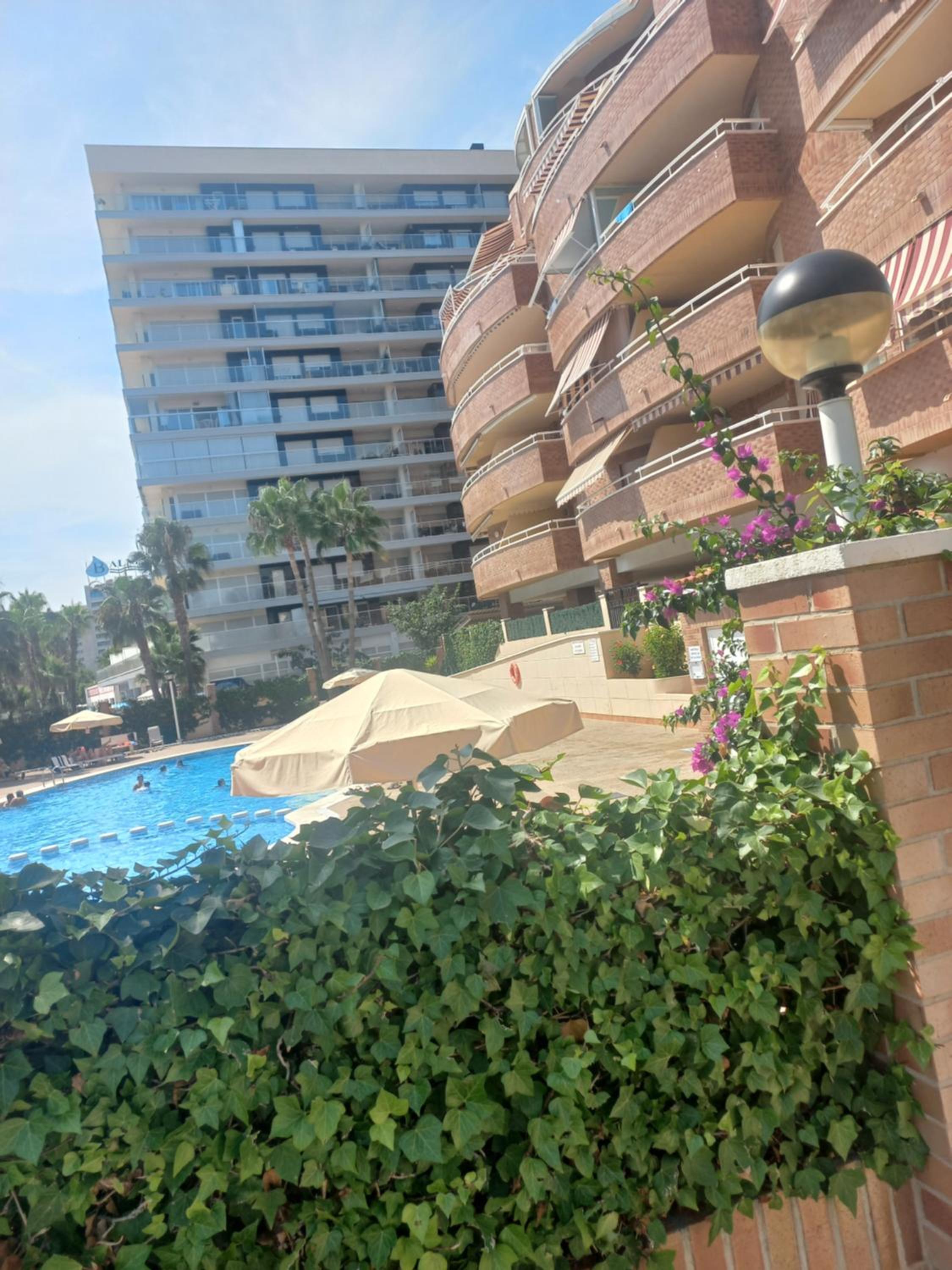 Marina dort Acapulco I primera línea de playa