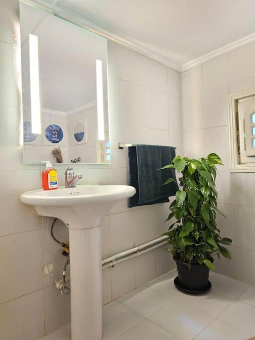 Cozy Private GF in Degla Maadi