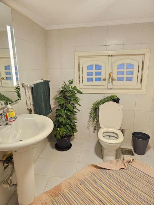 Cozy Private GF in Degla Maadi