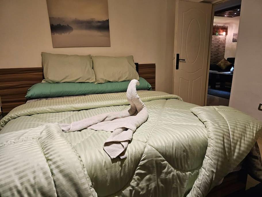 Cozy Private GF in Degla Maadi