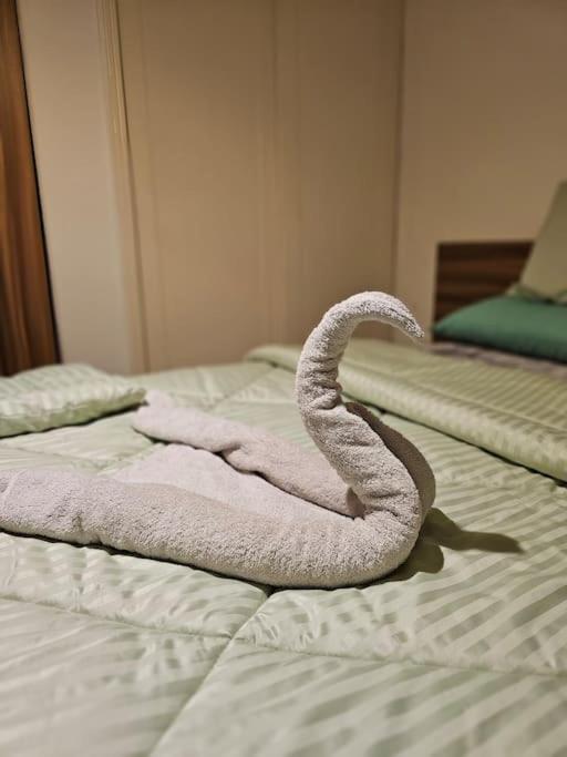 Cozy Private GF in Degla Maadi