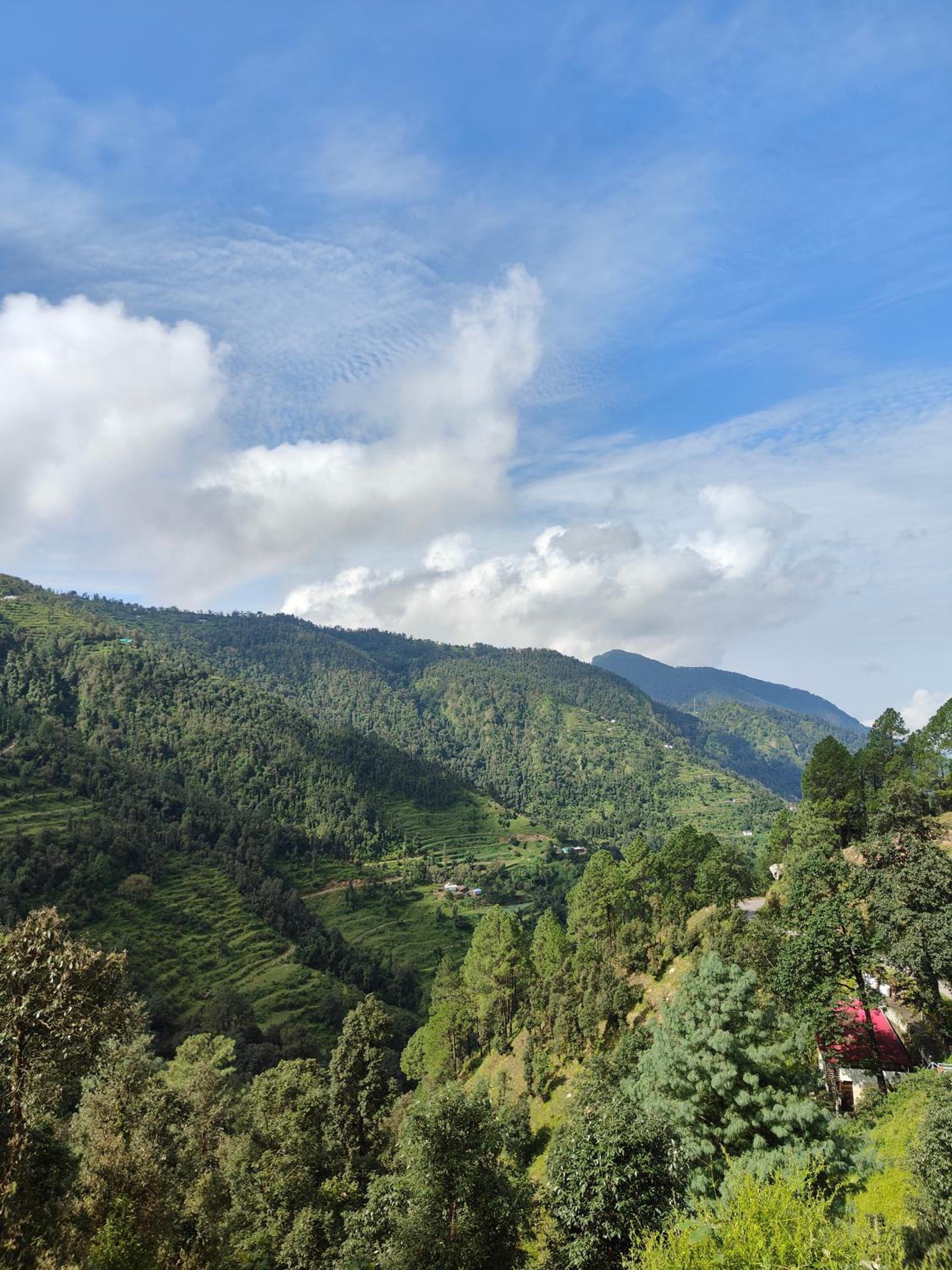 HimWanderer Camps & Cottages Pangot
