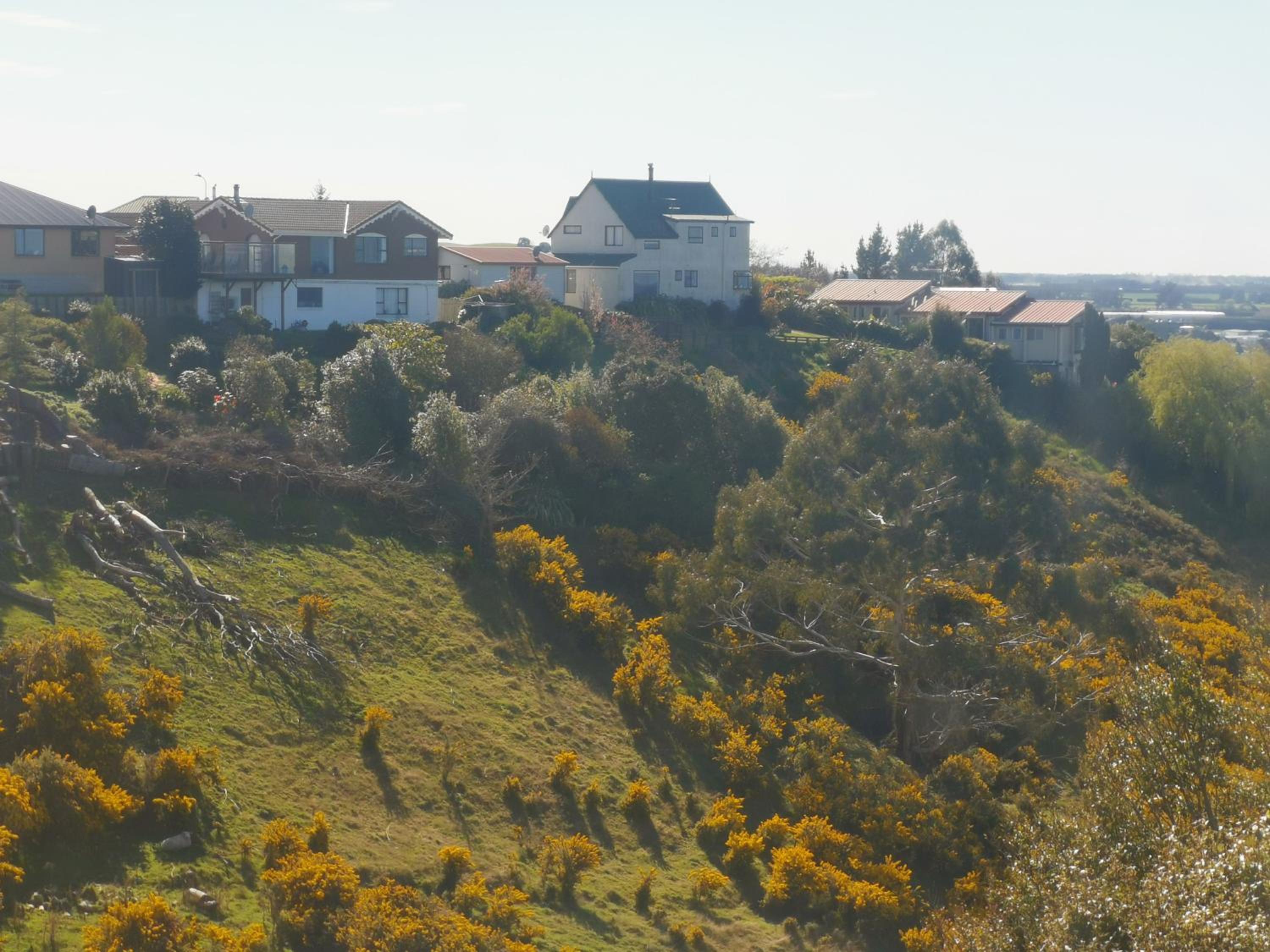 Oamaru Holiday