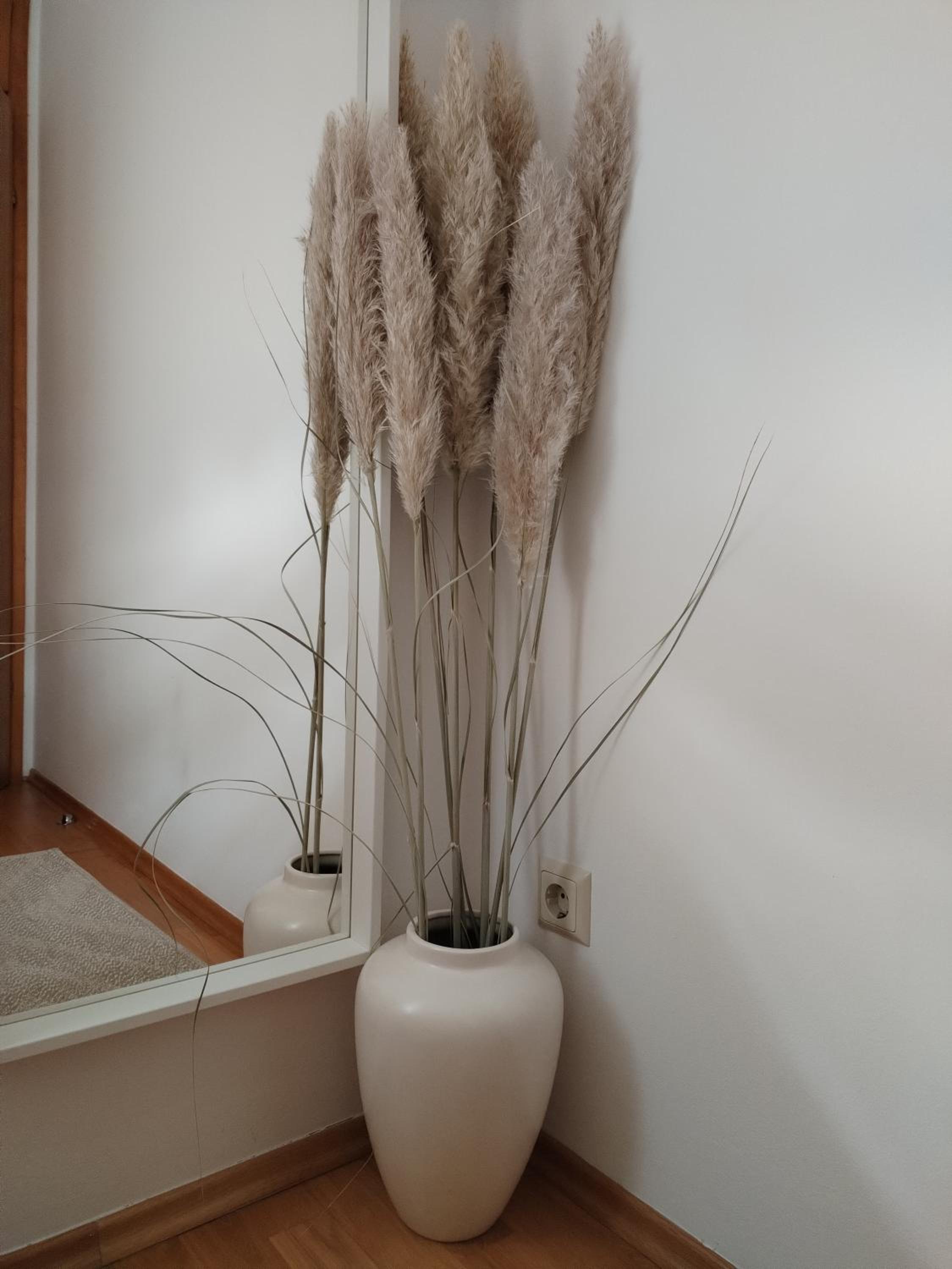 Apartman Ivana