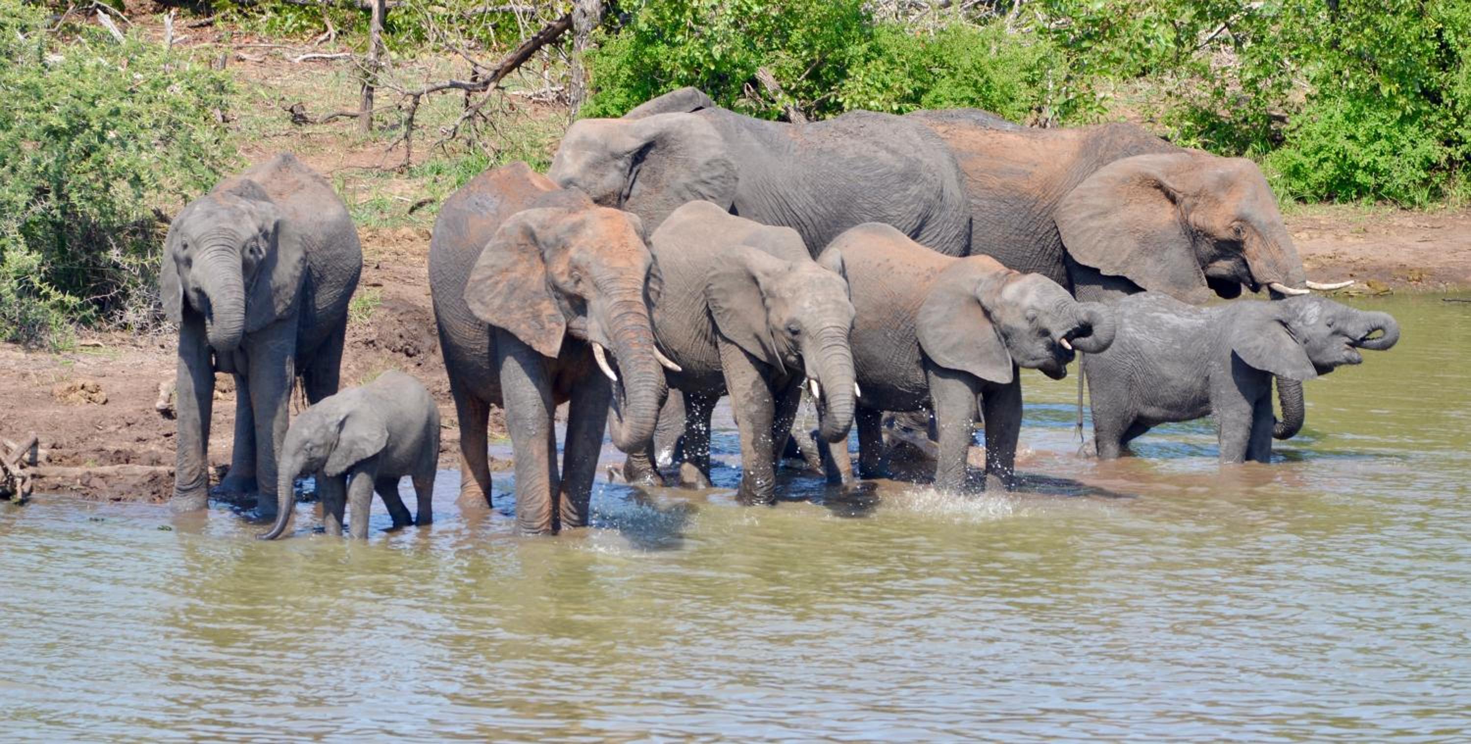 Kholiwe On Kruger Lodge & Safaris view 2
