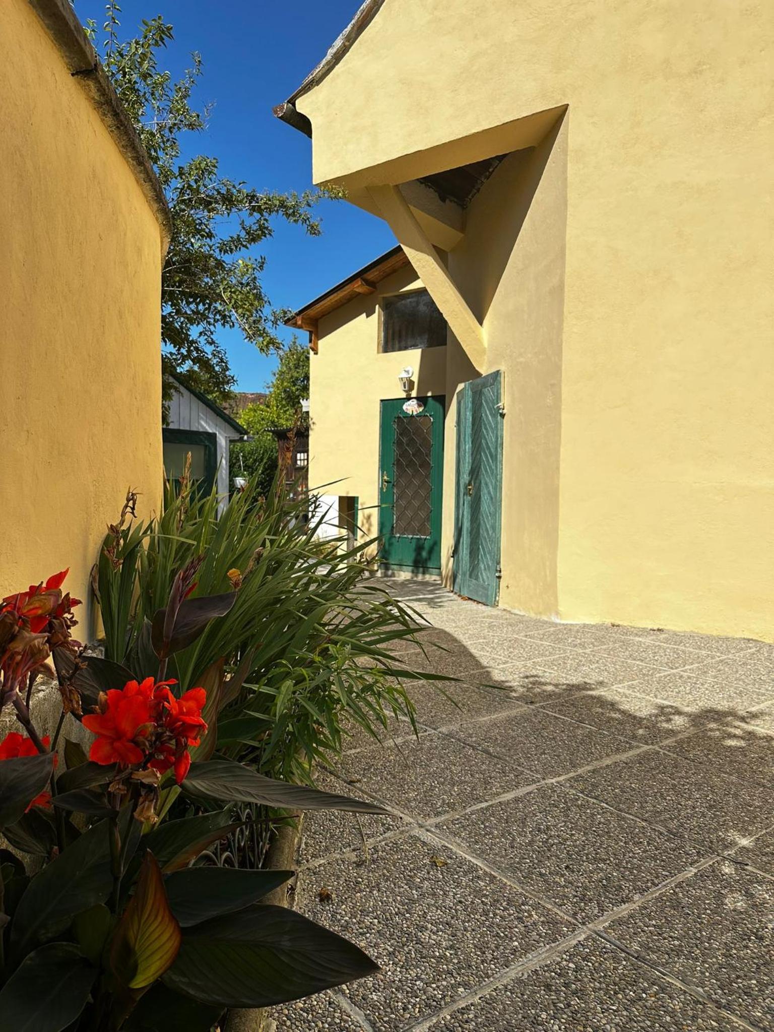 Tulip house