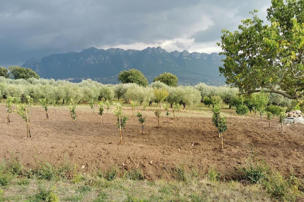 Villa Panno, natural place! view 2