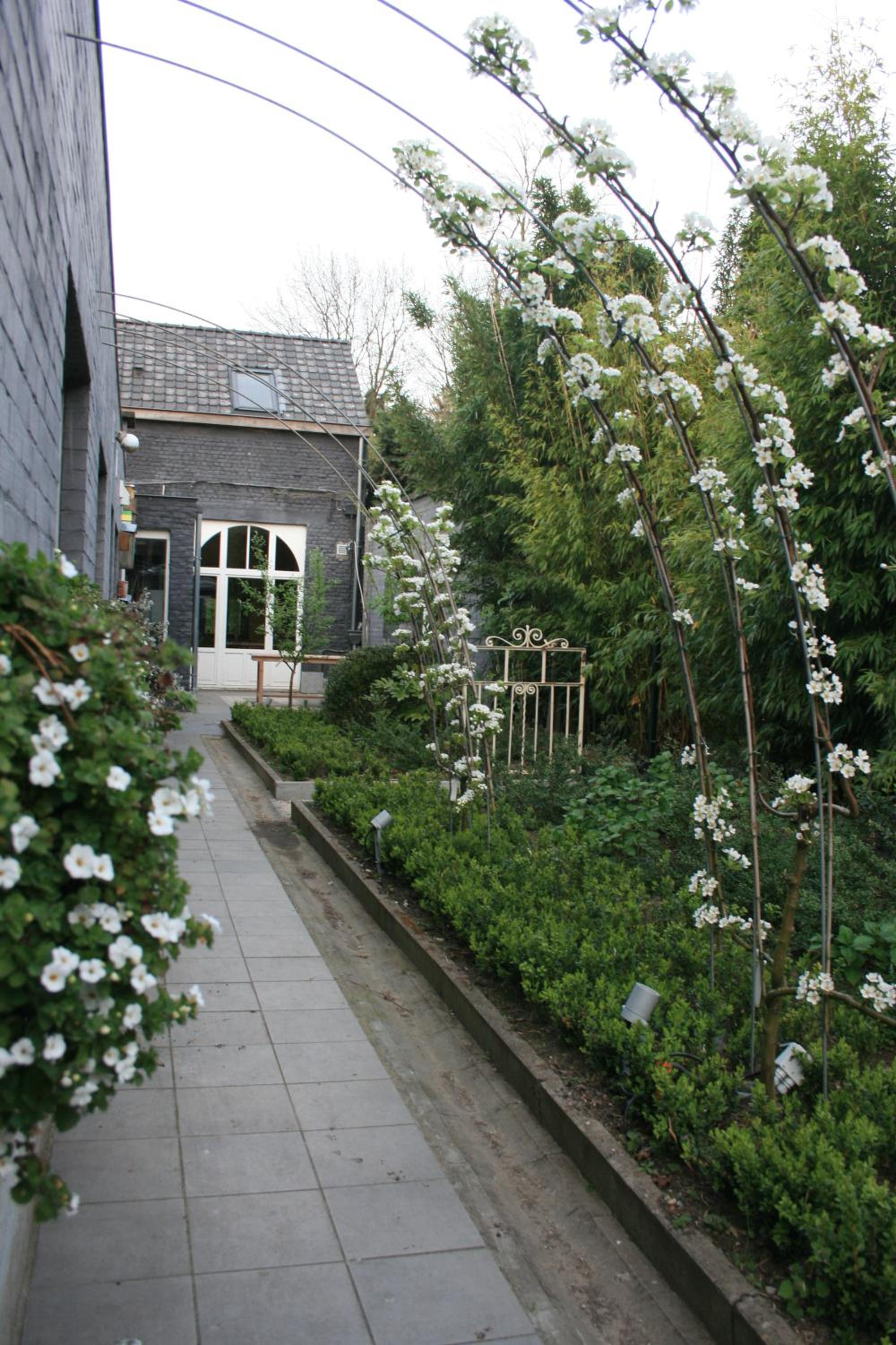Casa Lucinda