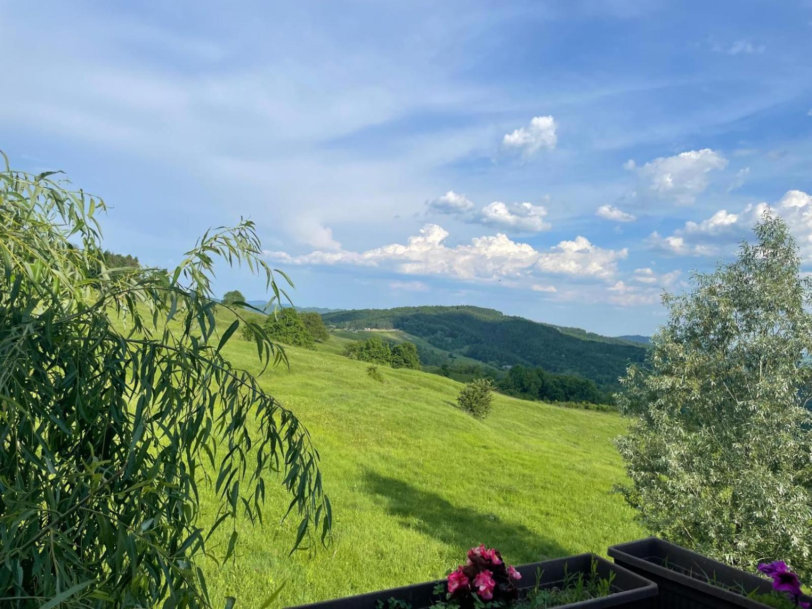 Cabana Talea Residence Prahova