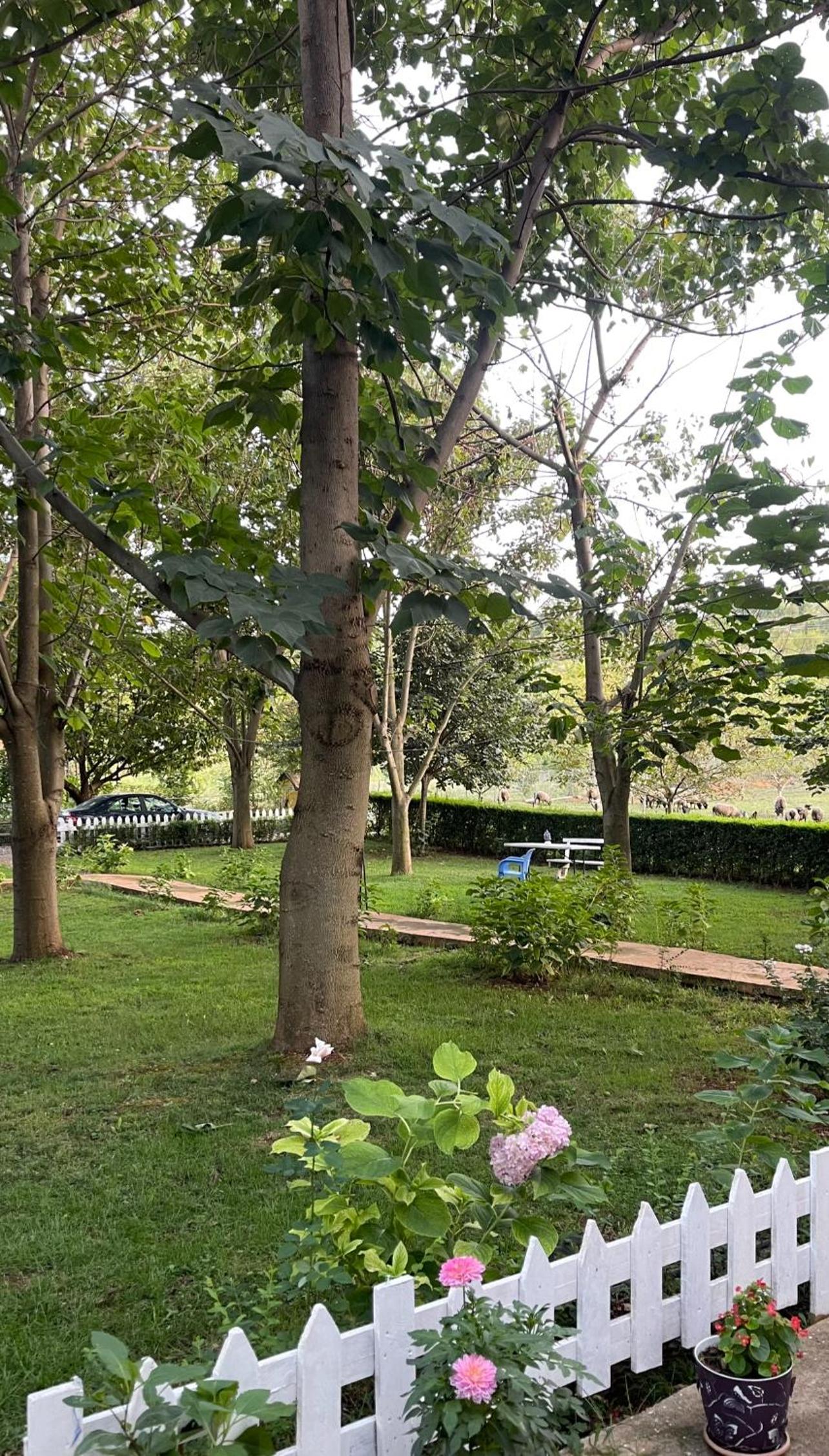 Biona Farm