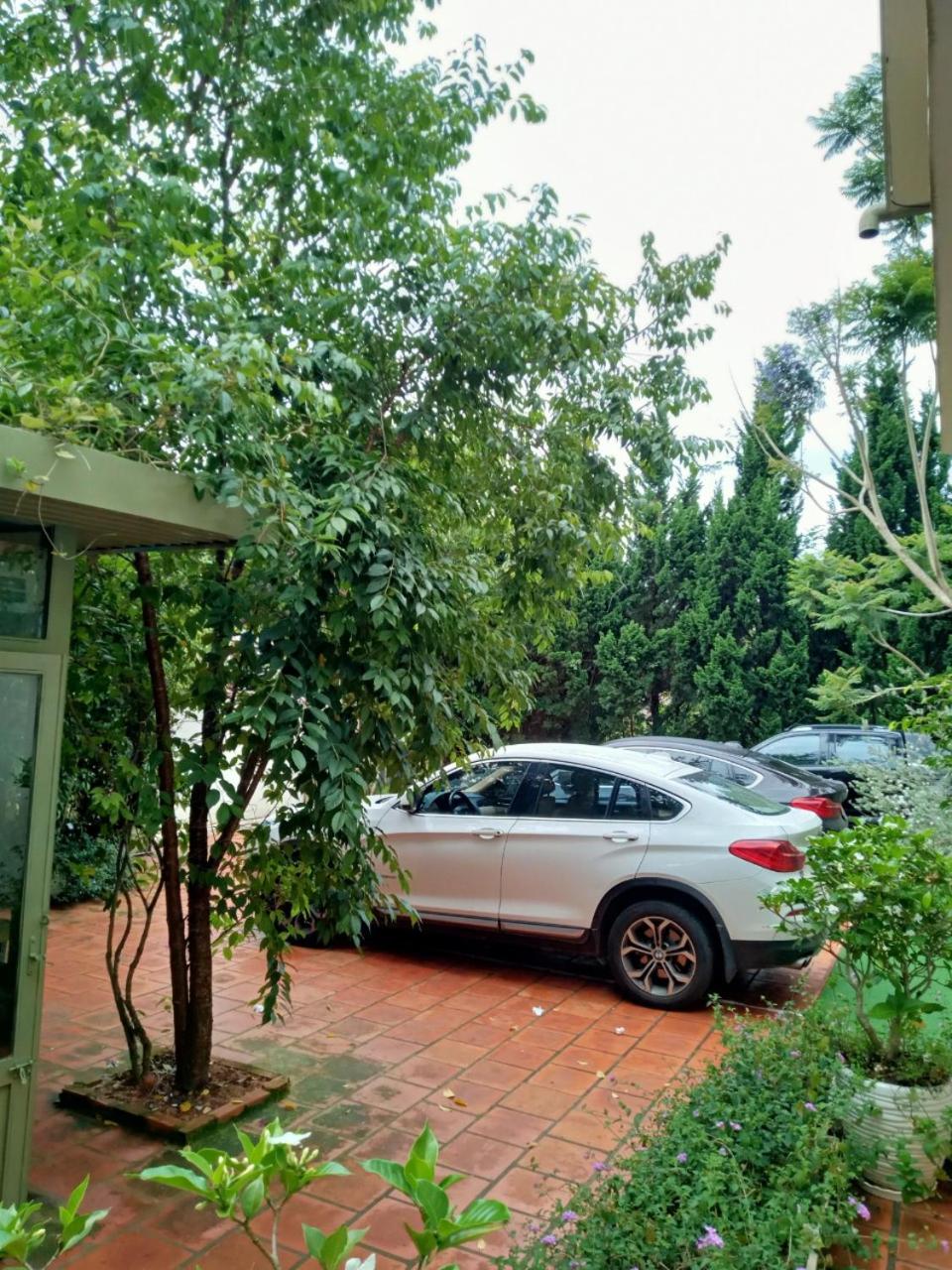 Nhà của Mèo Huỳnh Tấn Phát Đà lạt view 4