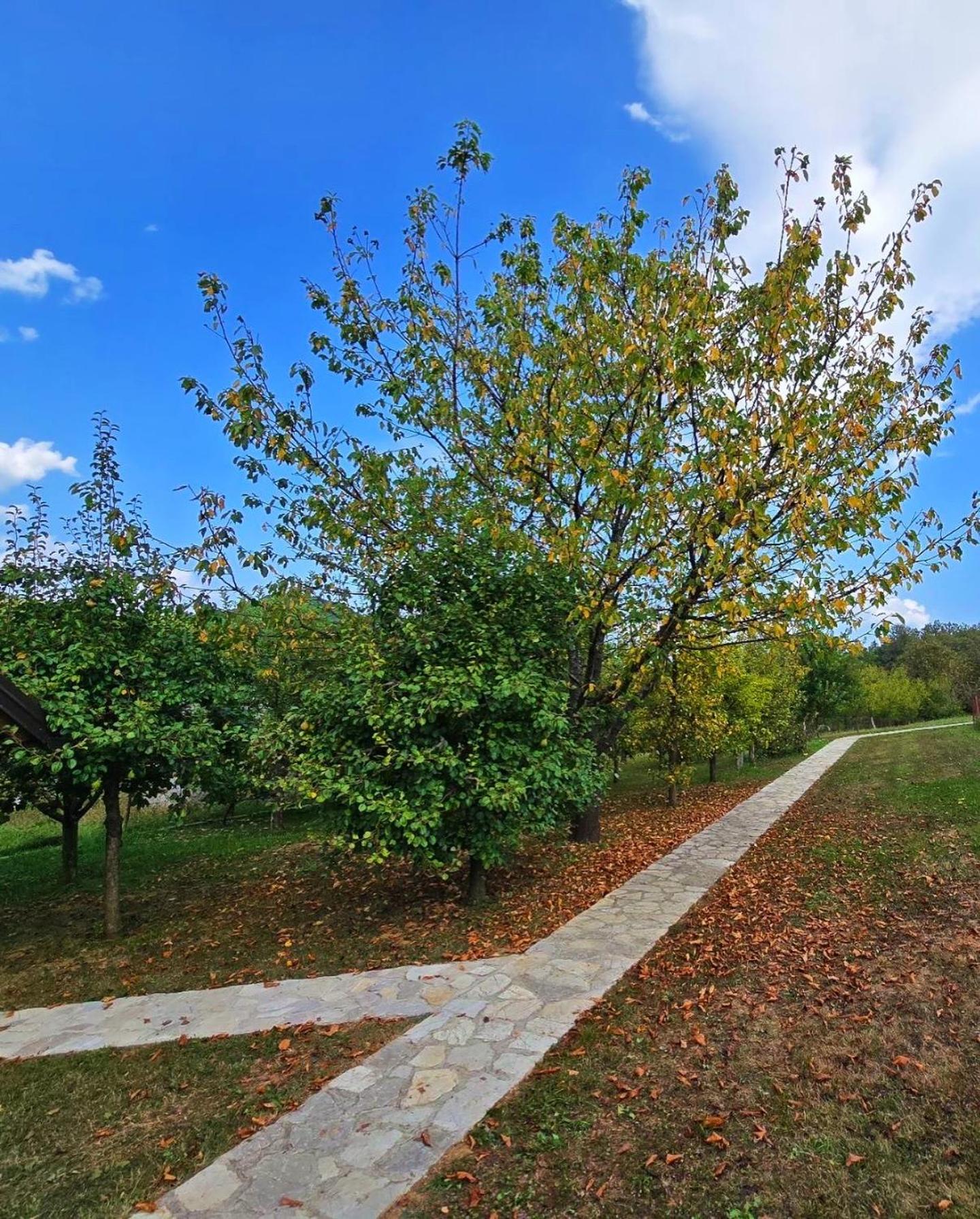 Villa Enigma