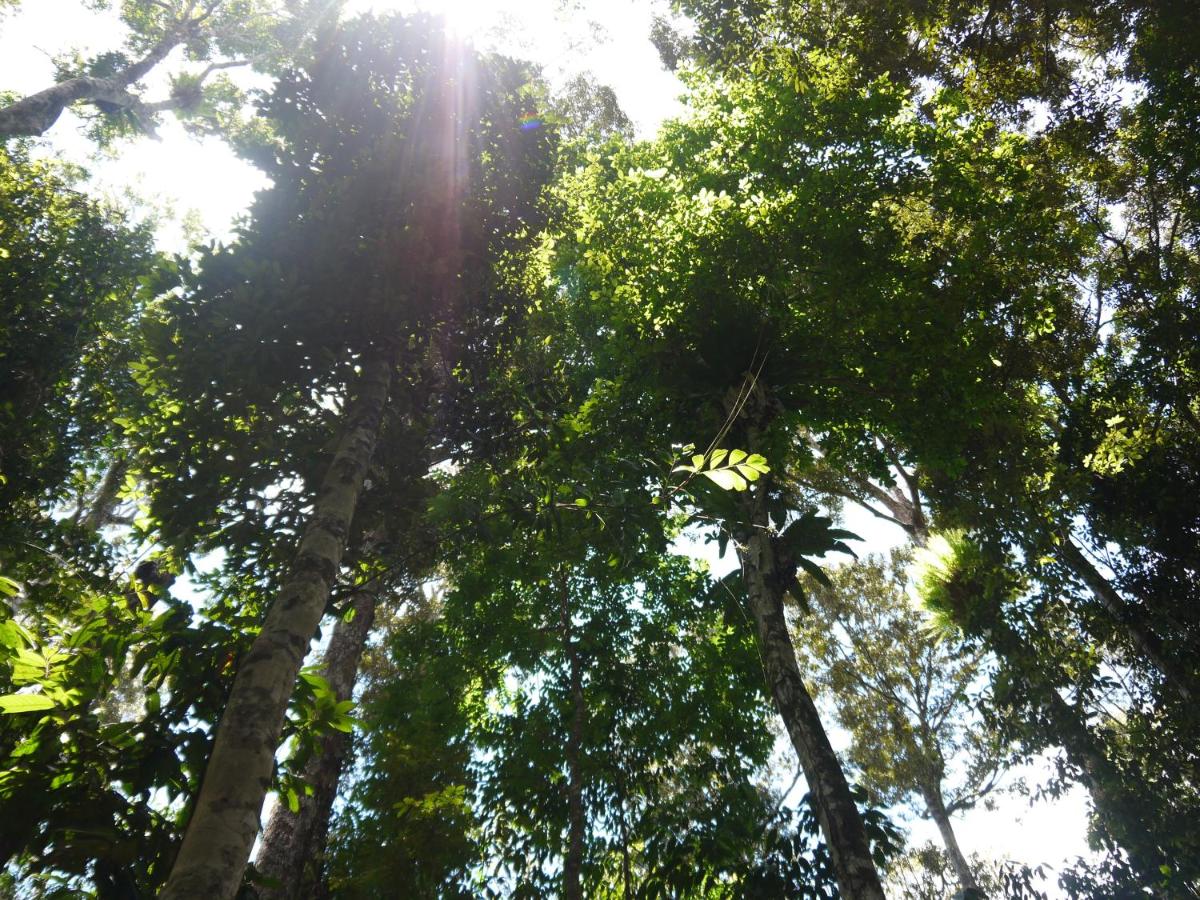 Figtree Getaway