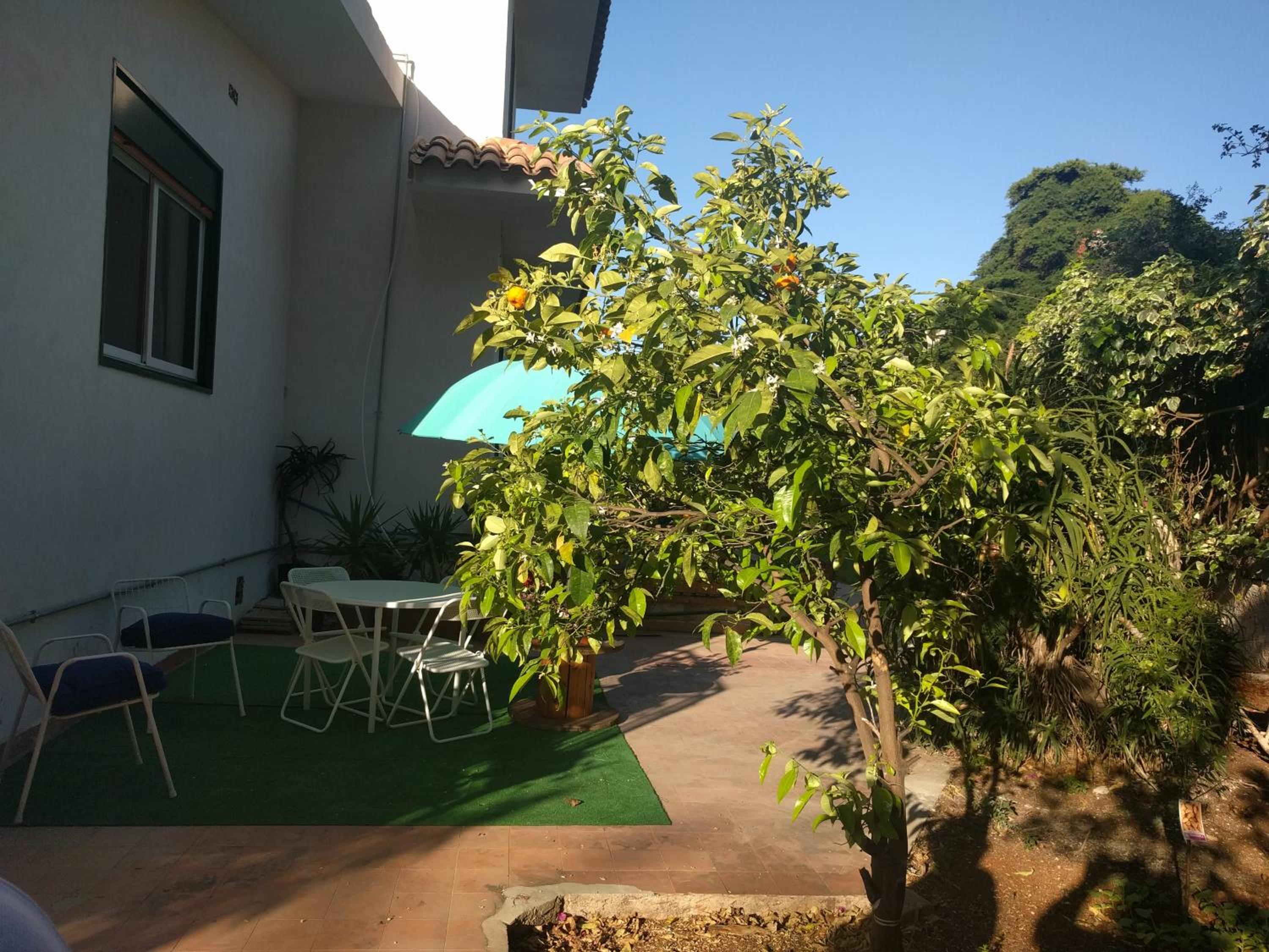 Rosalba apartments - cheap and characteristic