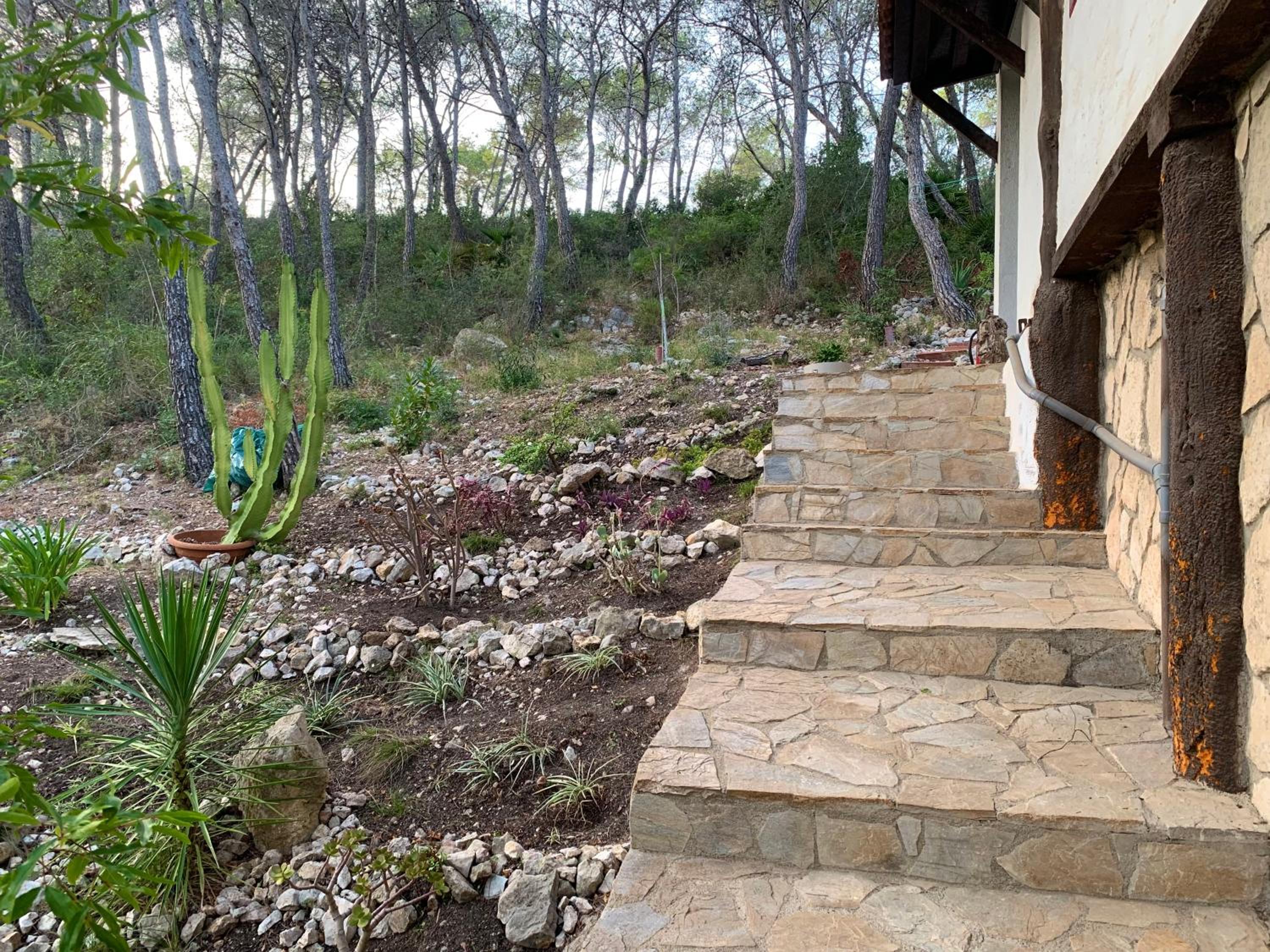 La Casita del Bosque