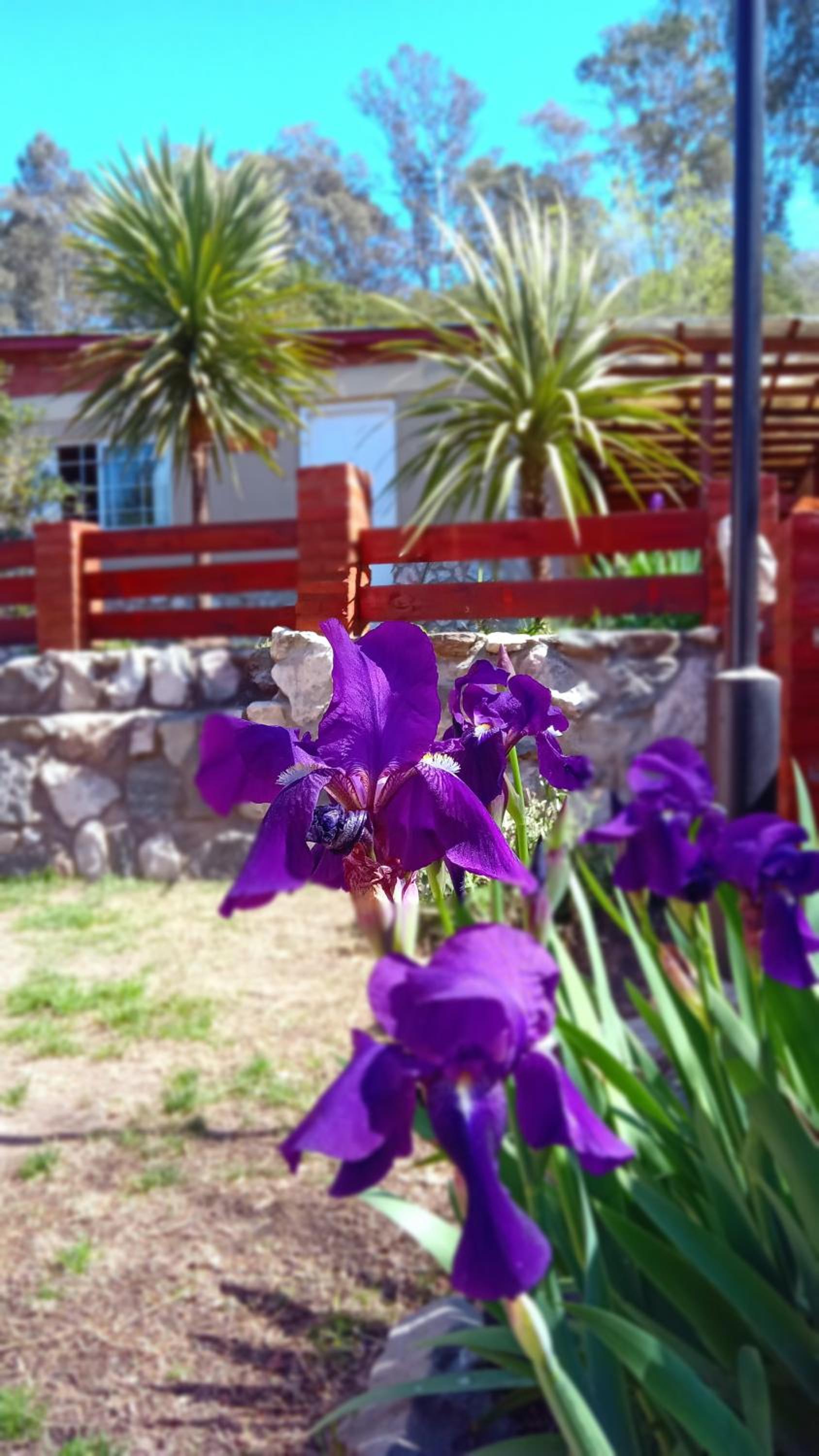 Cabañas Flor De Lis