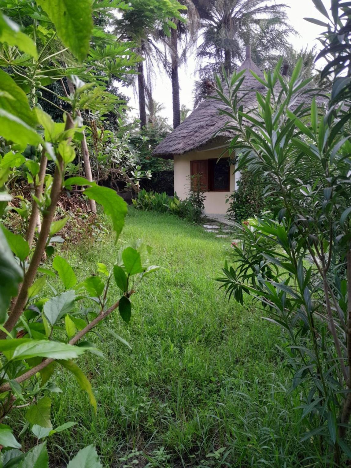 Photo 27