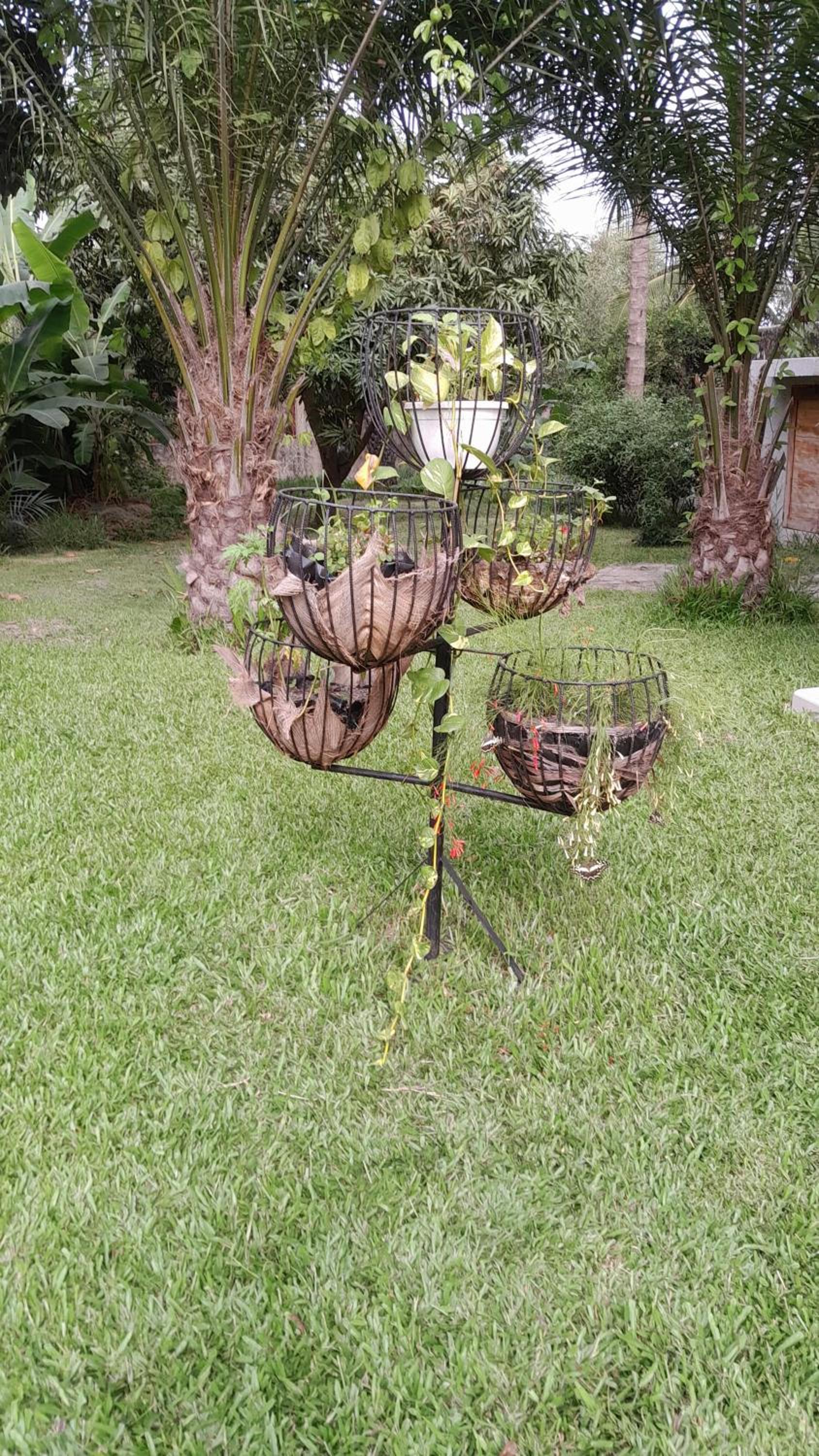 Photo 19