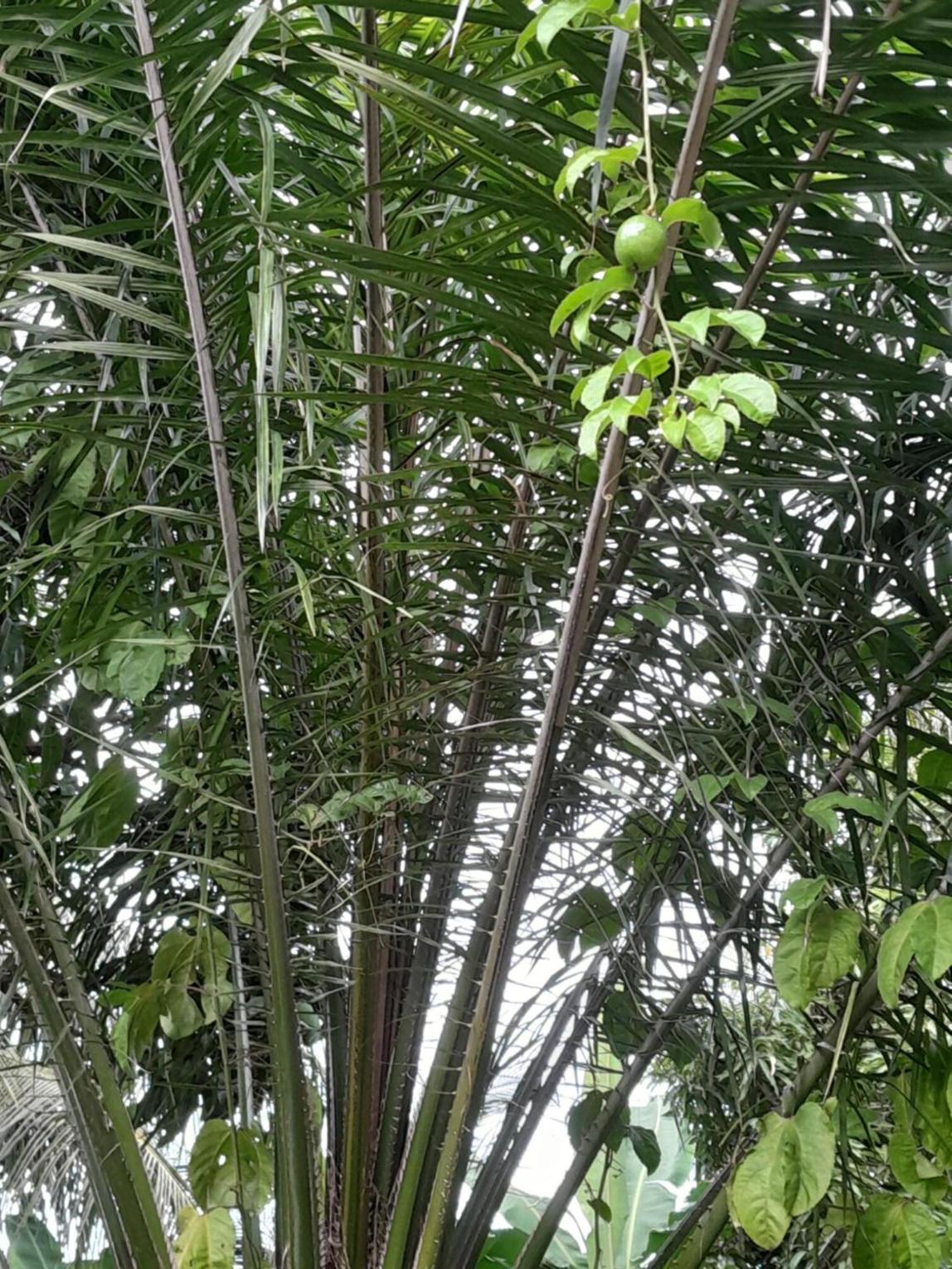 Photo 41
