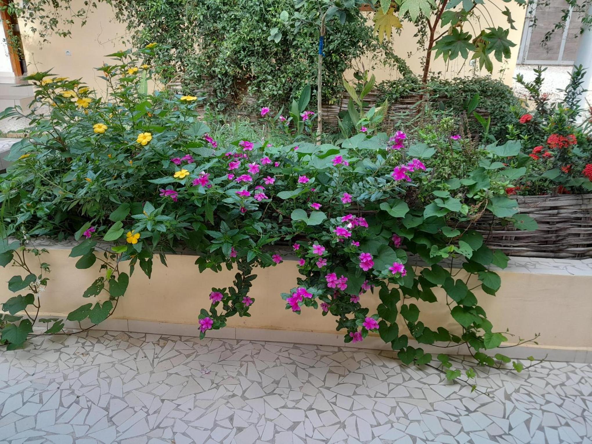 Photo 39