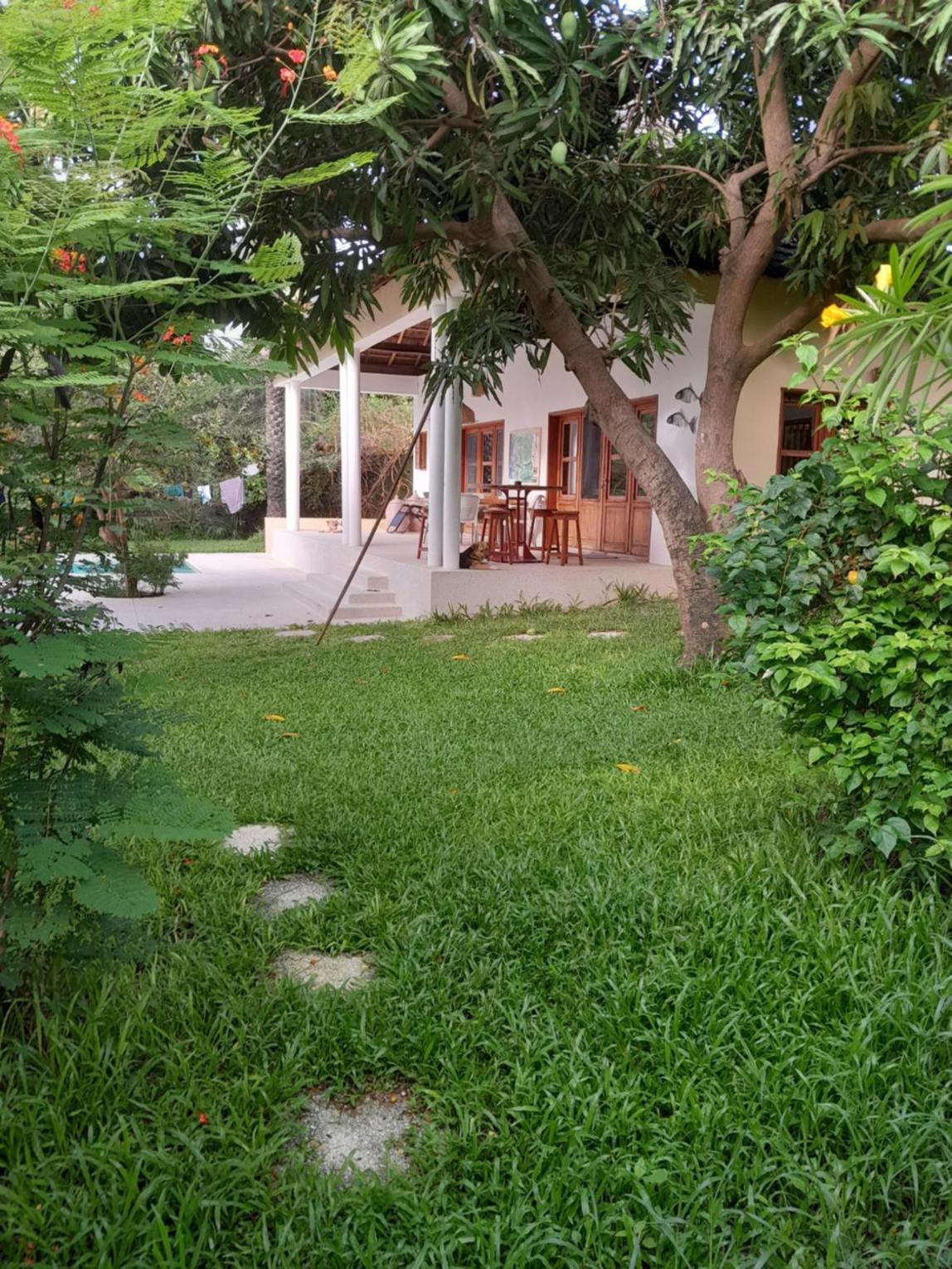 Photo 42