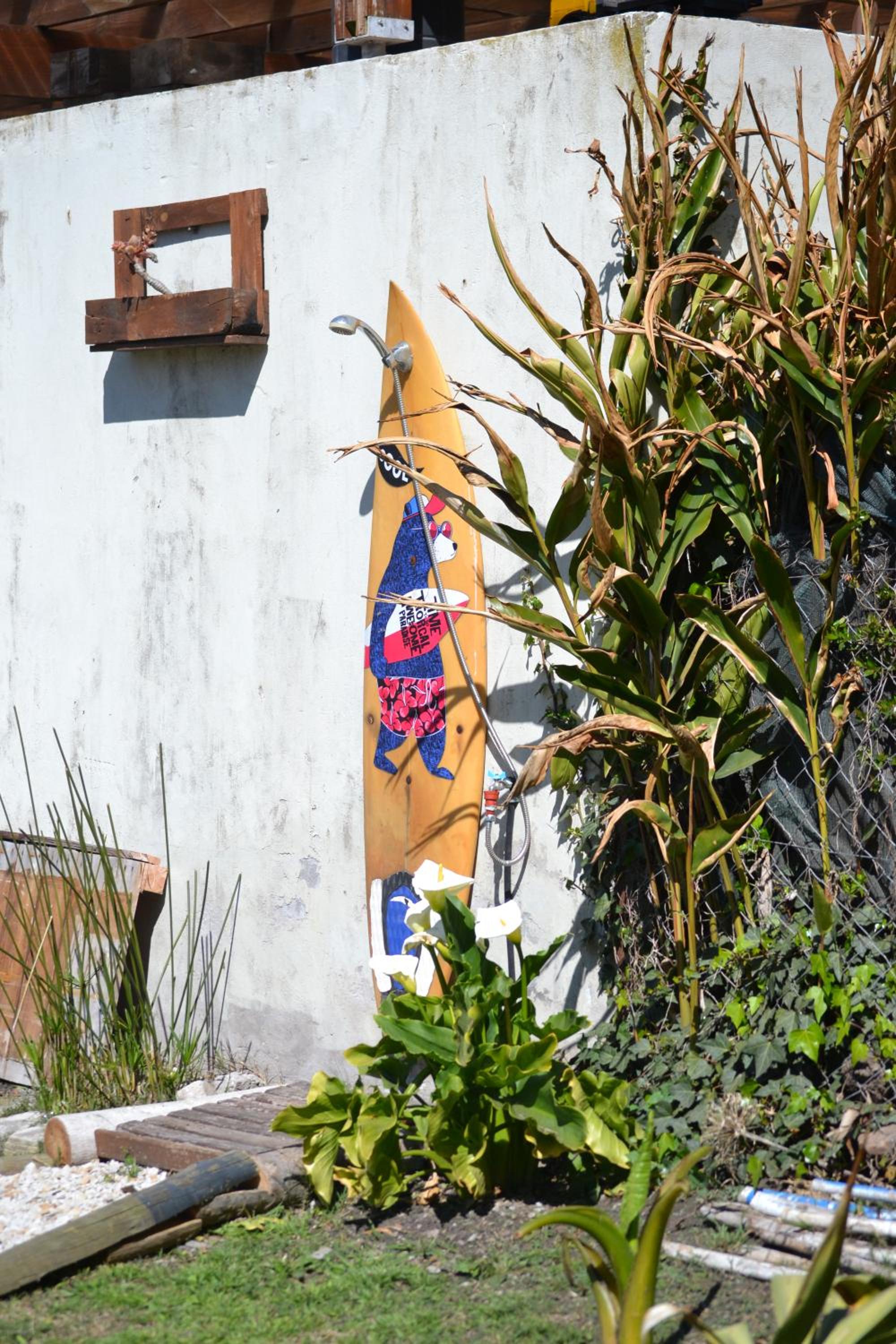 La vagoneta surf